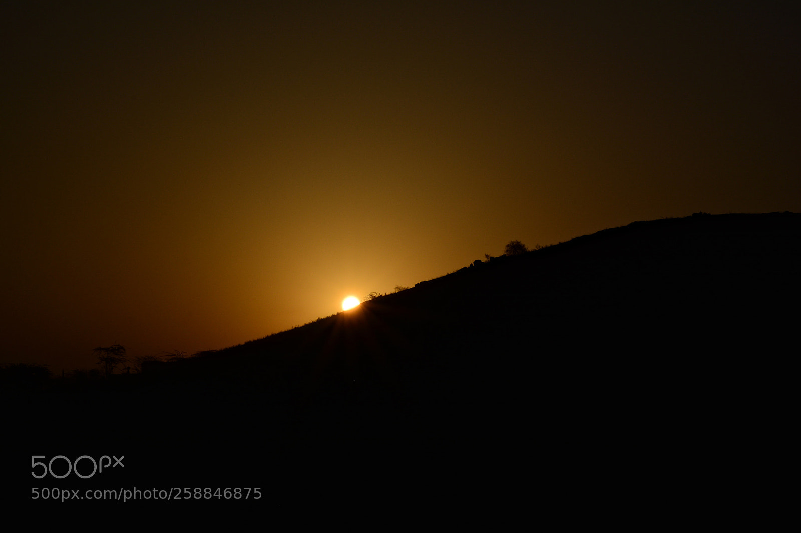 Nikon D5200 sample photo. Rajasthan sunrise photography