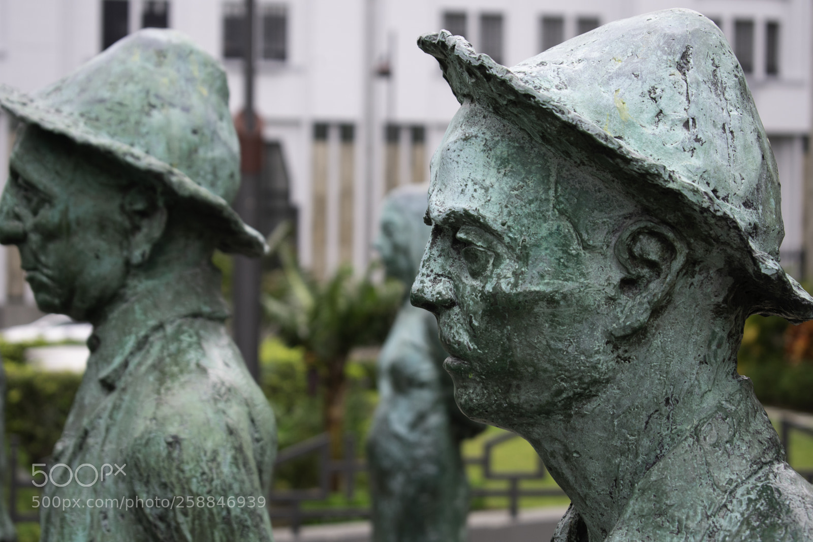 Nikon D3400 sample photo. Duo photography
