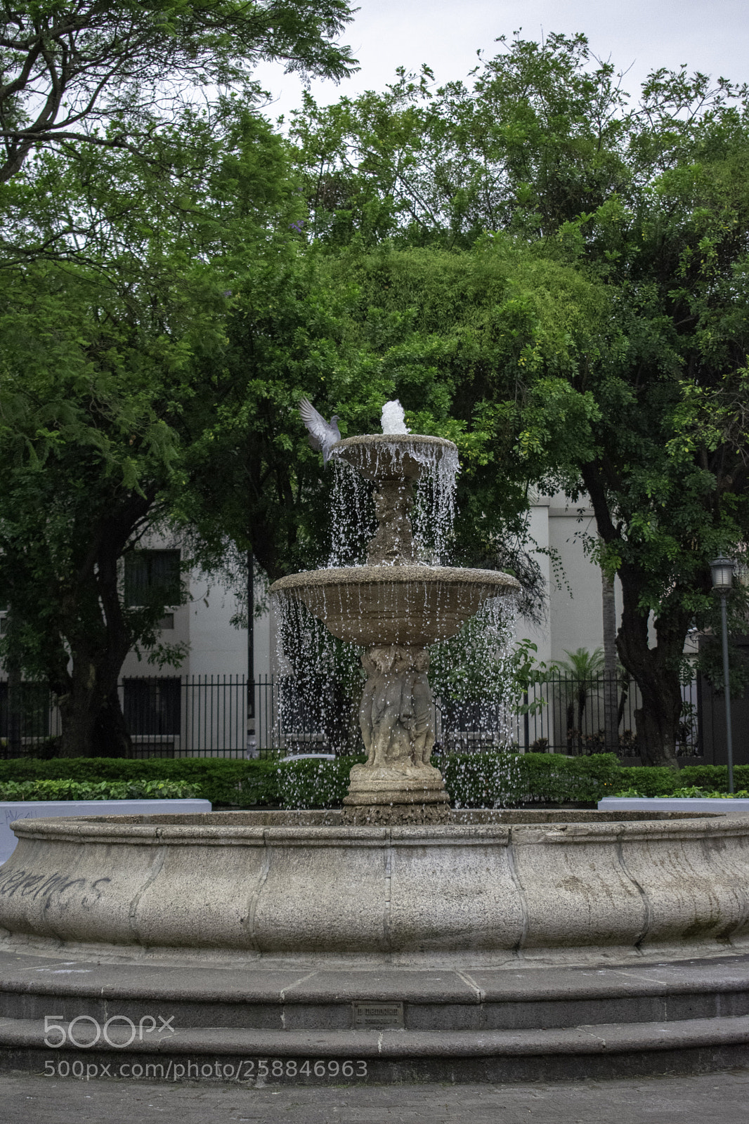 Nikon D3400 sample photo. The landing photography