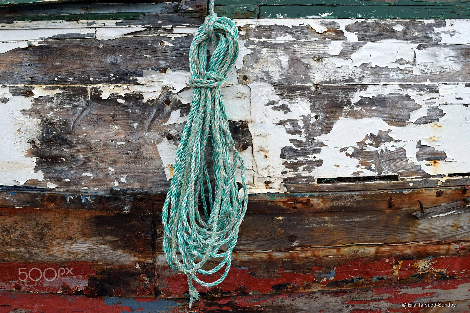 Nikon D5300 sample photo
