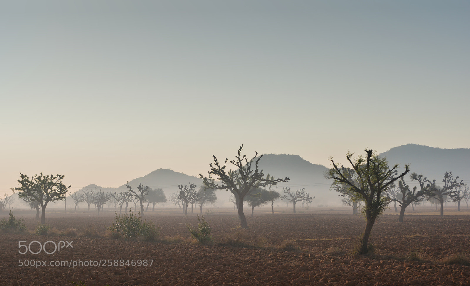 Nikon D5200 sample photo. Morning mist photography