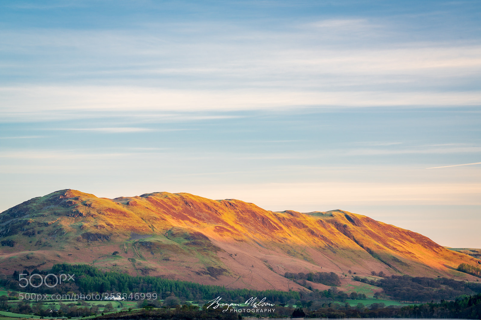 Sony a7R II sample photo. Low fell photography