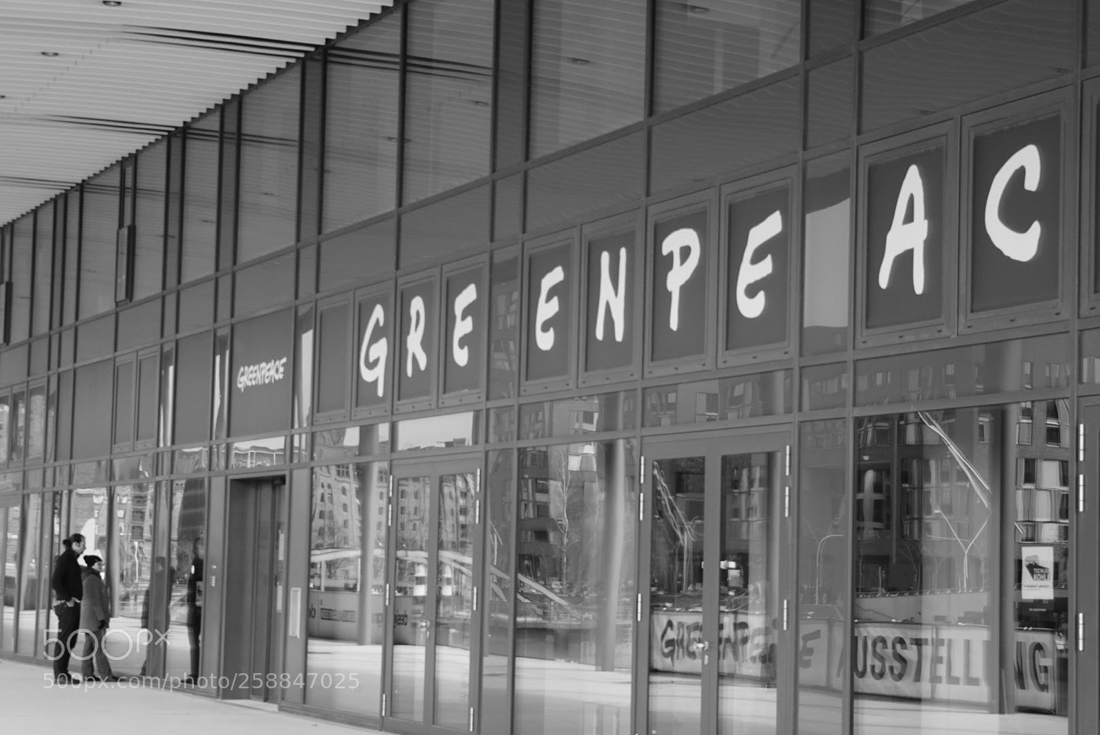 Sony a6000 sample photo. Green photography