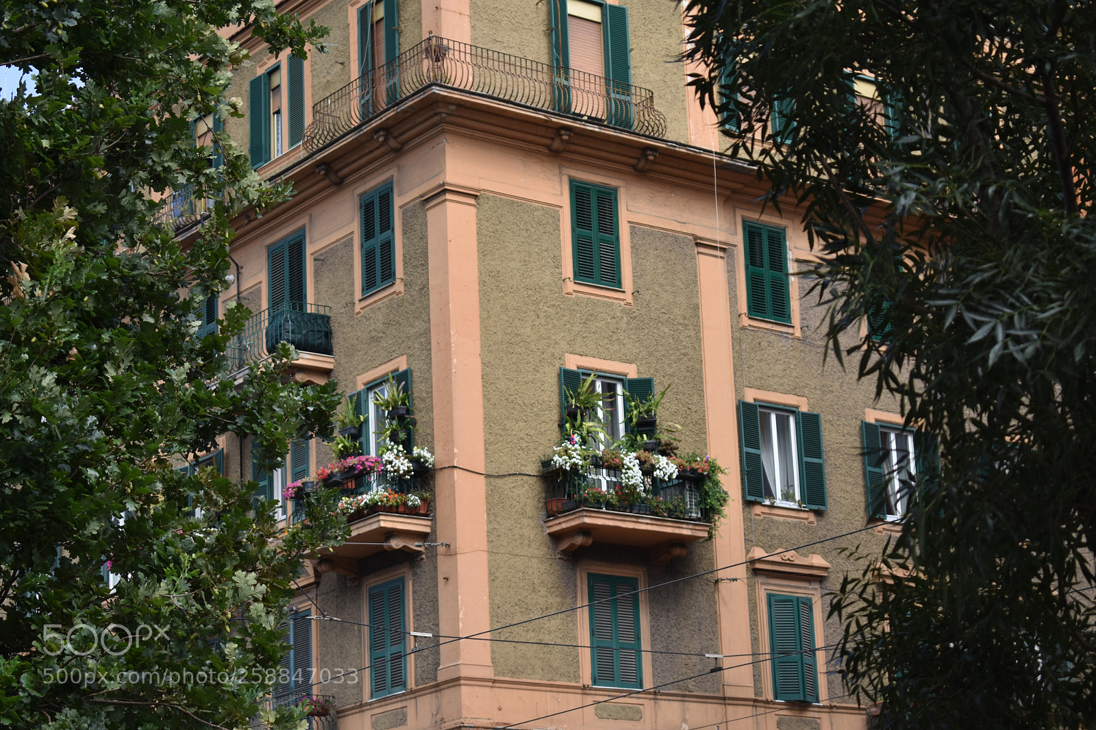 Nikon D3400 sample photo. Beige photography