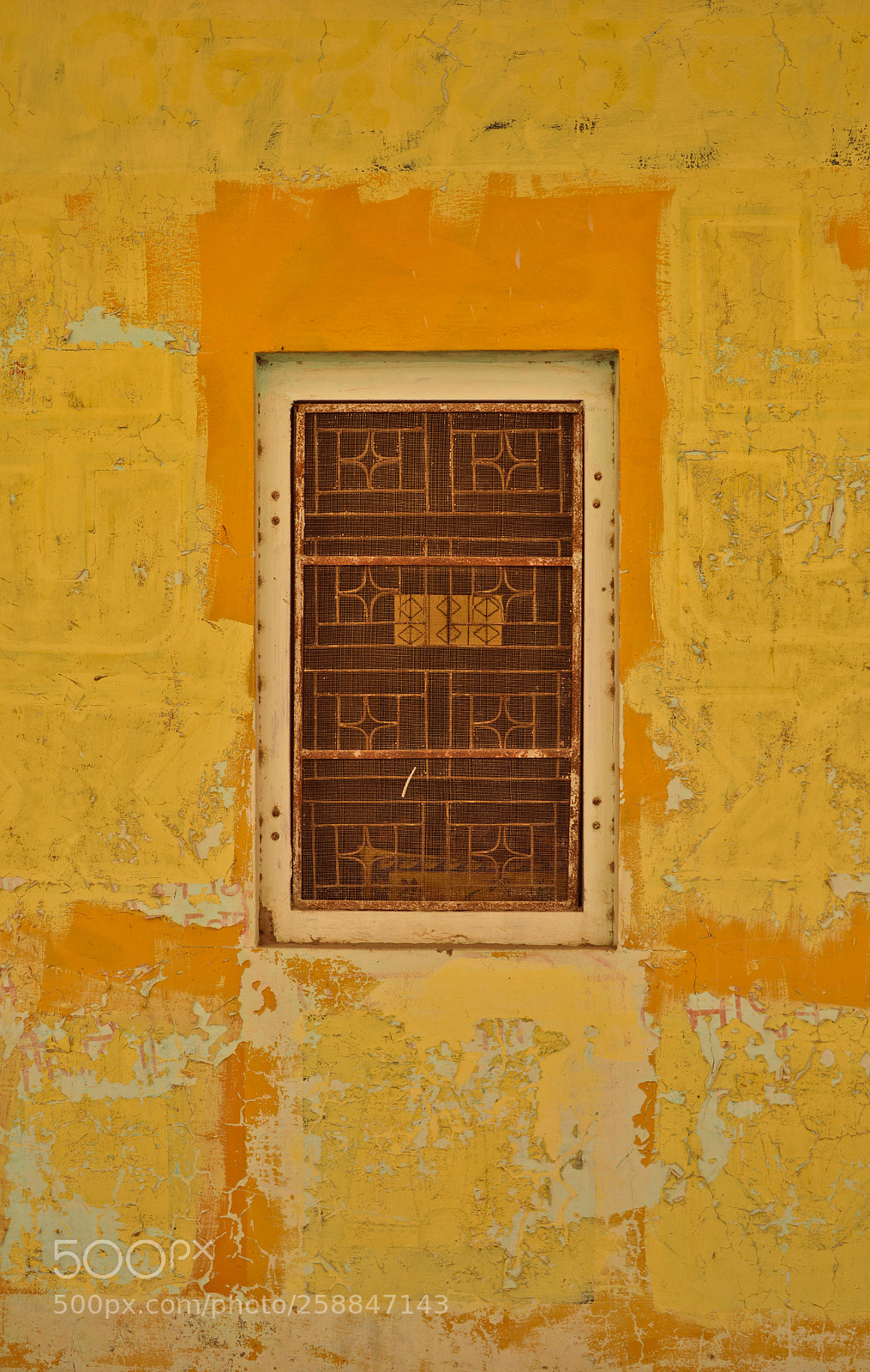 Nikon D5200 sample photo. Yellow photography