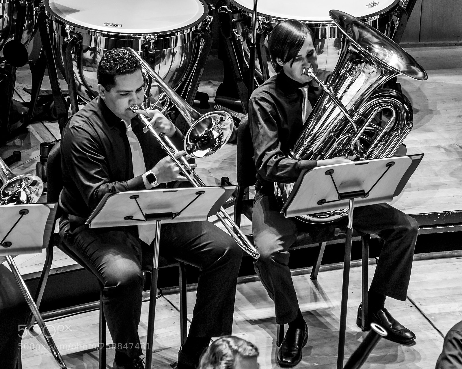 Canon EOS 60D sample photo. Low brass photography