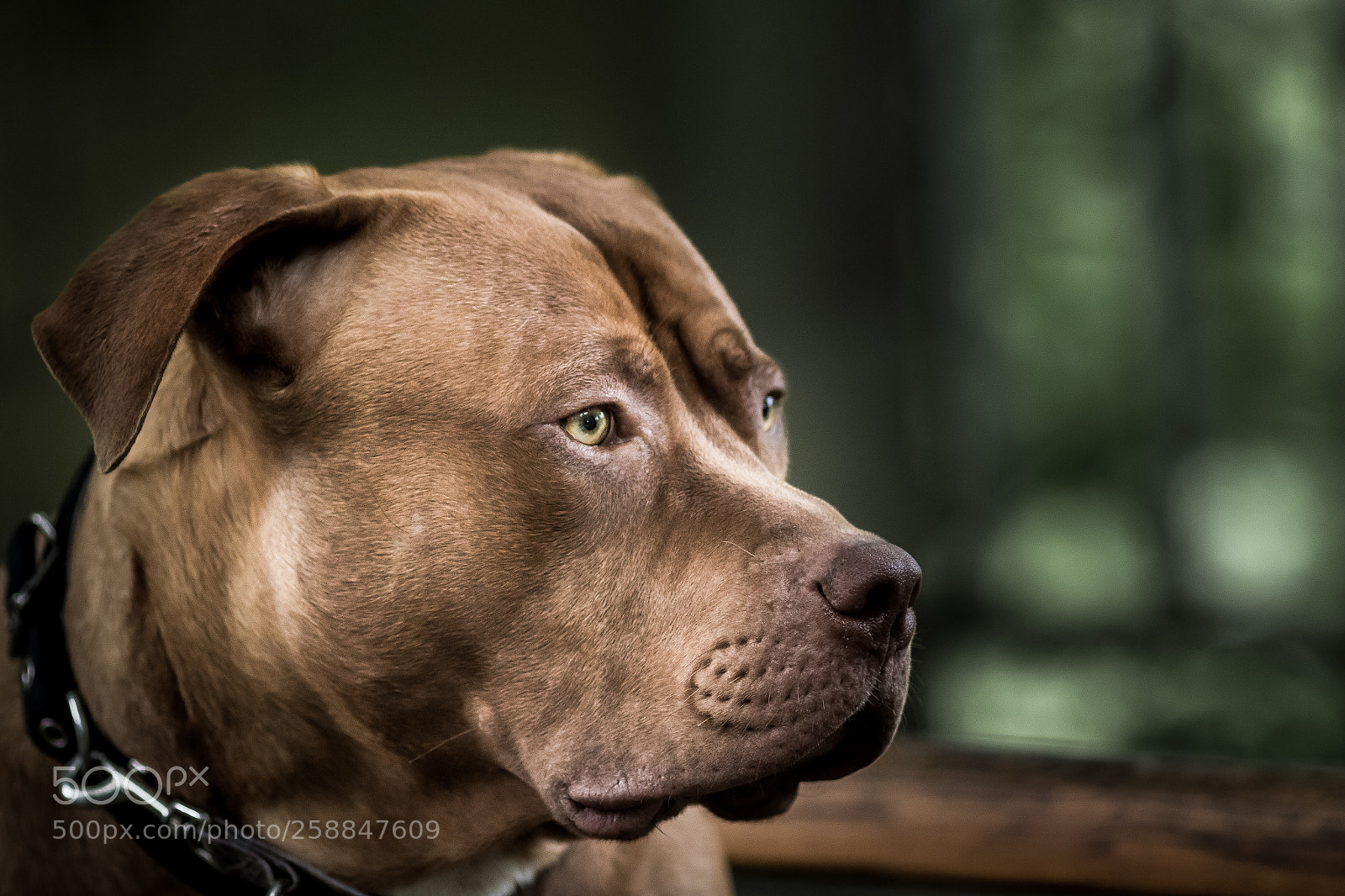 Canon EOS 7D Mark II sample photo. Pablo portrait 2 photography