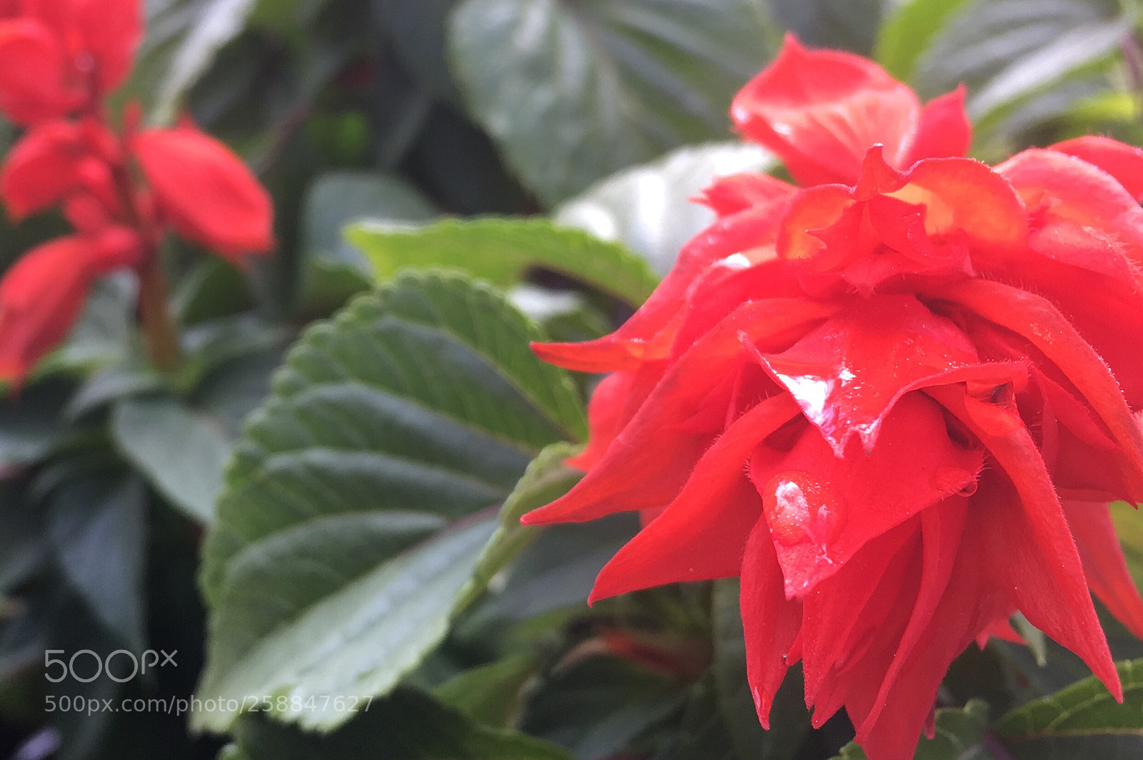 Apple iPhone 6s sample photo. Colores zoe soto vazquez  photography