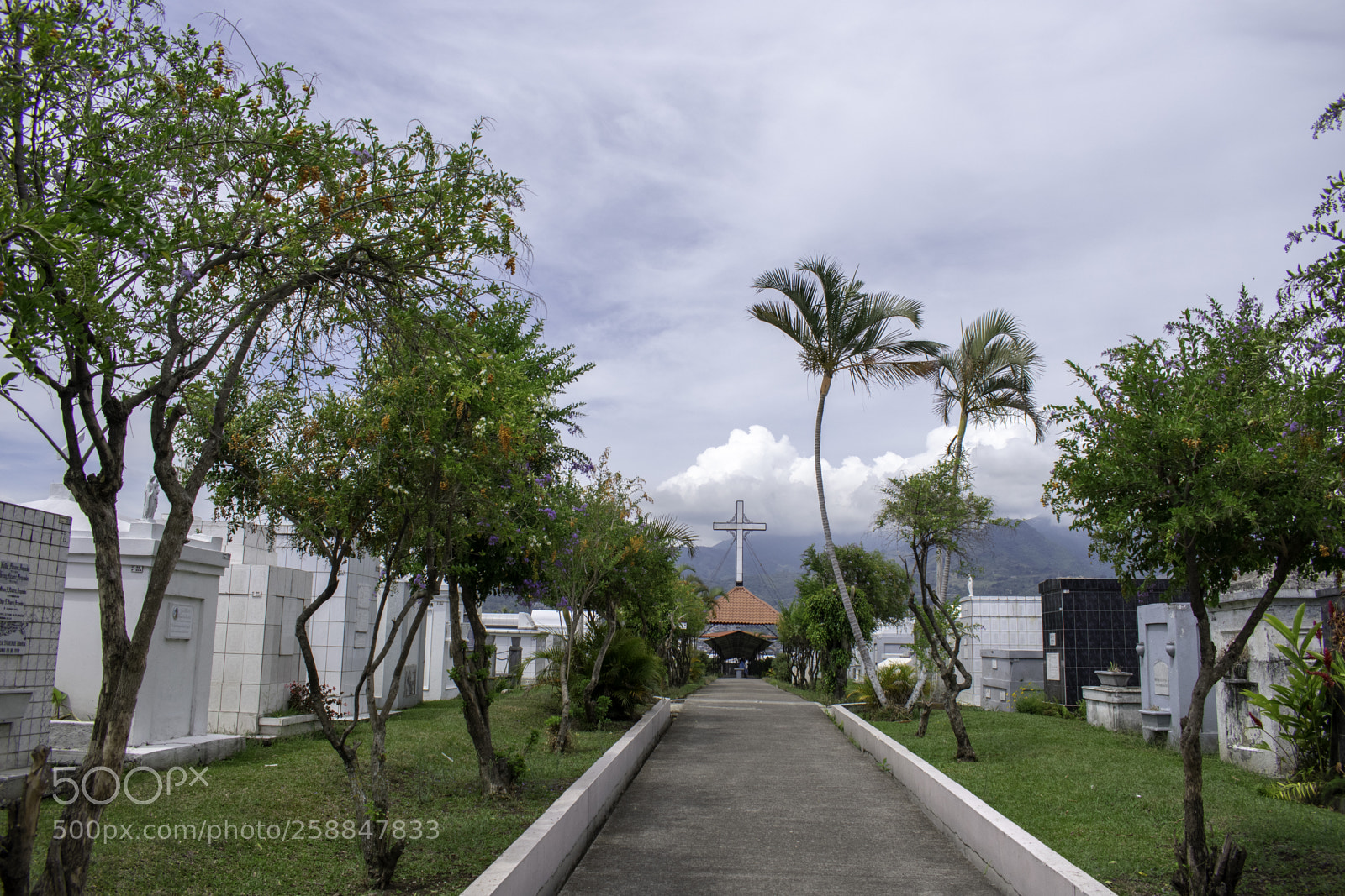 Nikon D3400 sample photo. Copy photography