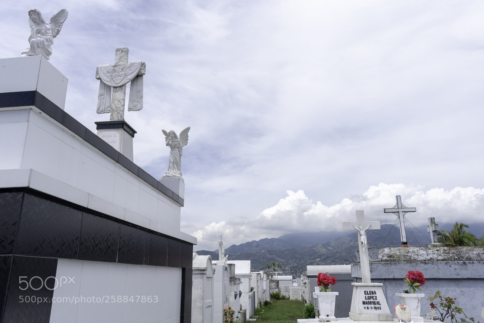 Nikon D3400 sample photo. Copy photography