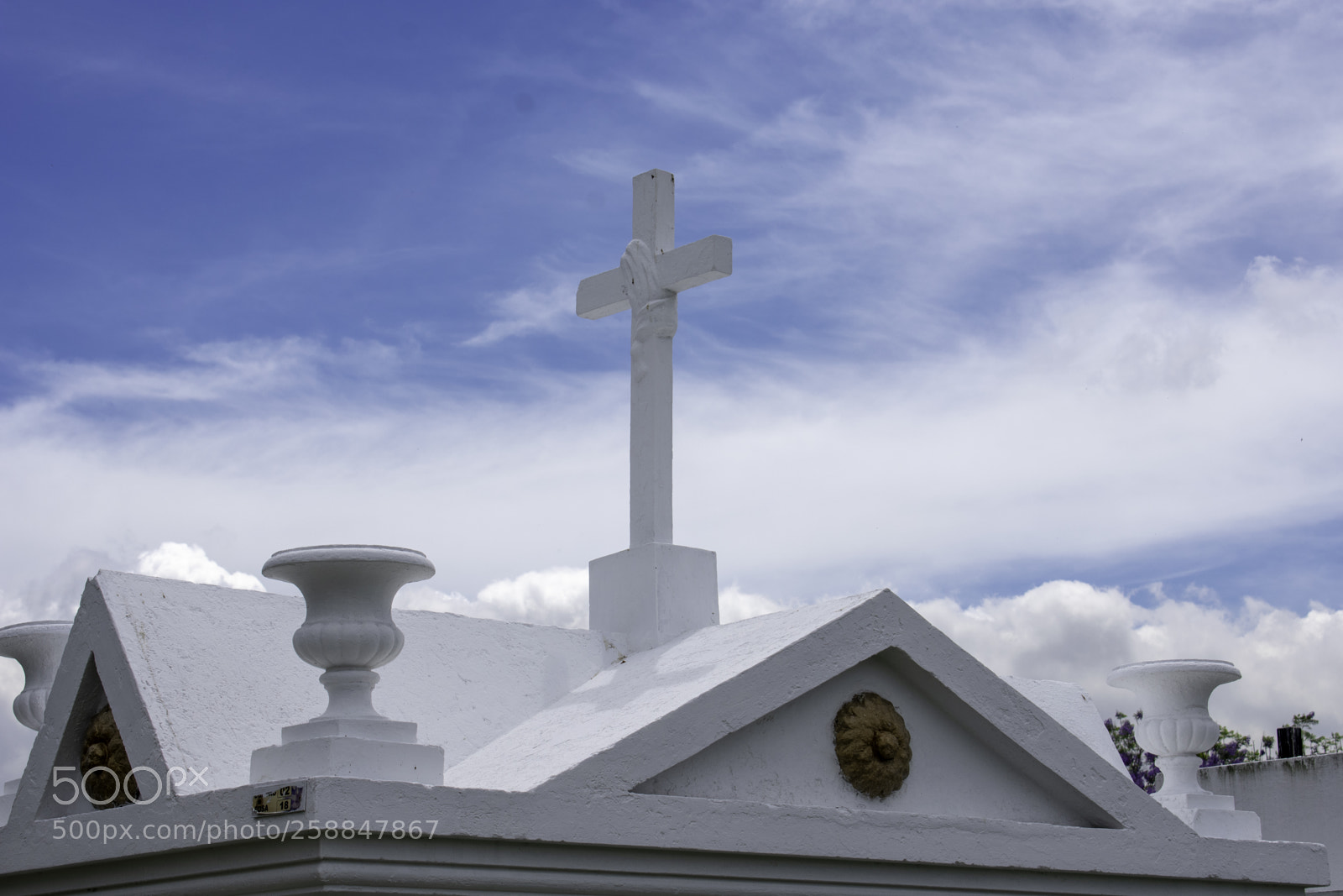 Nikon D3400 sample photo. Copy photography