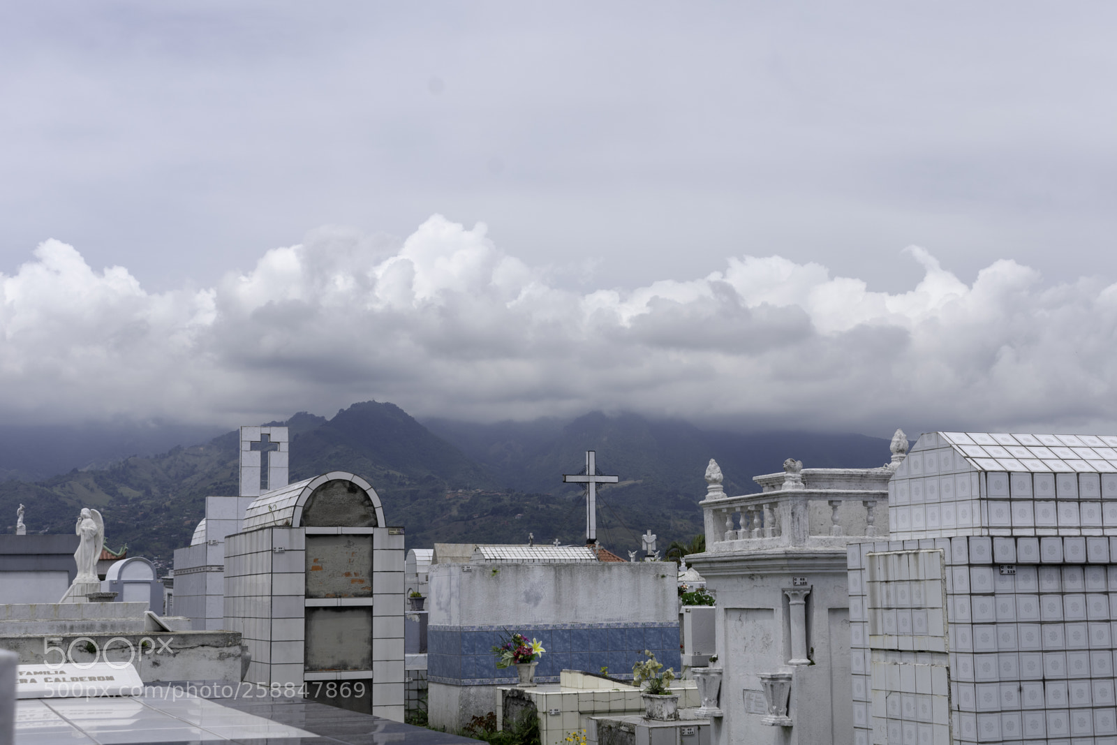 Nikon D3400 sample photo. Copy photography