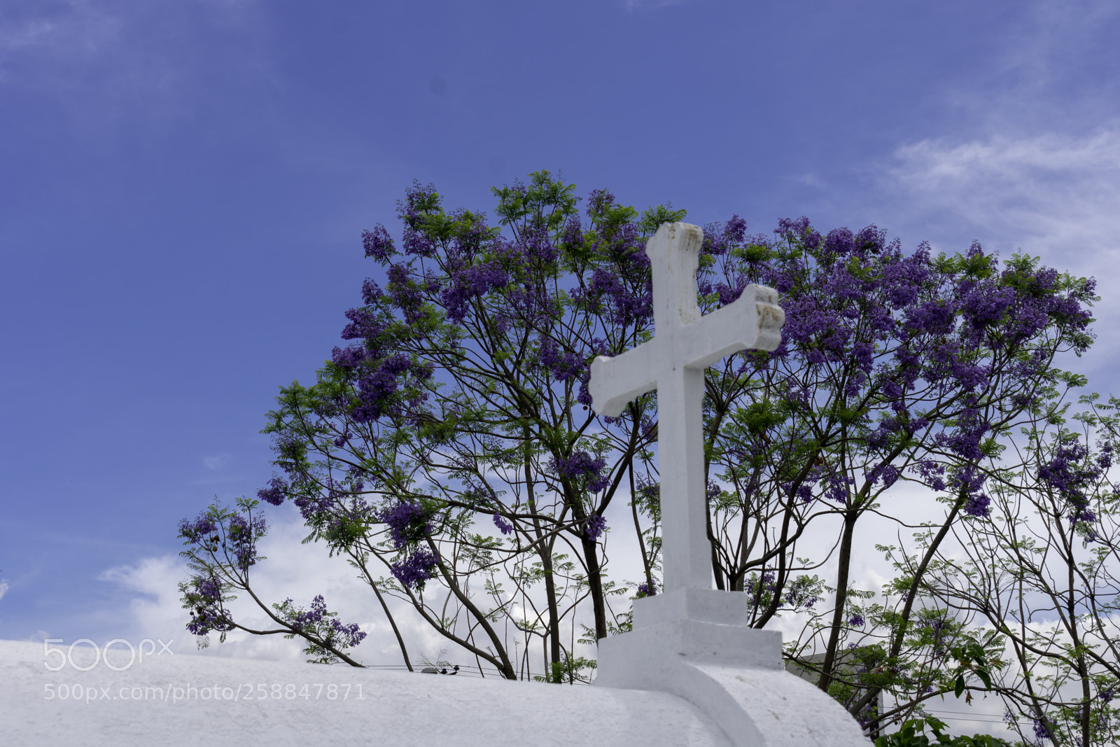 Nikon D3400 sample photo. Copy photography