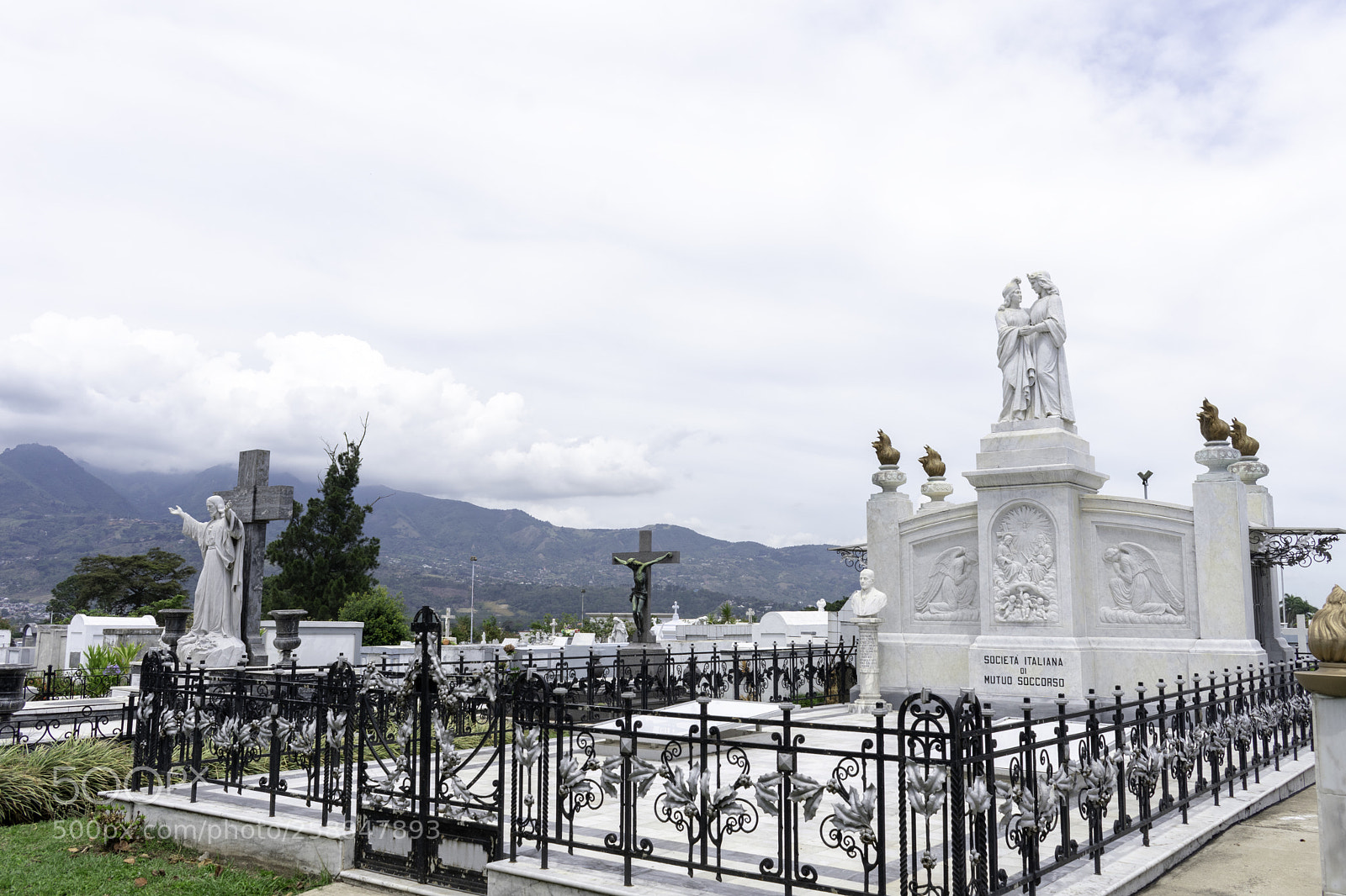 Nikon D3400 sample photo. Copy photography