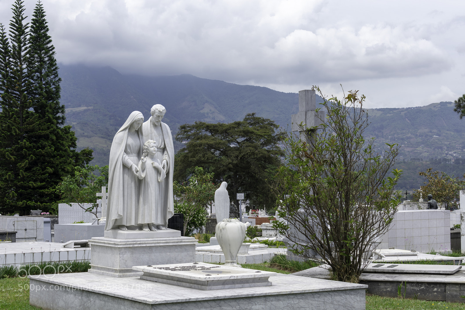Nikon D3400 sample photo. Copy photography