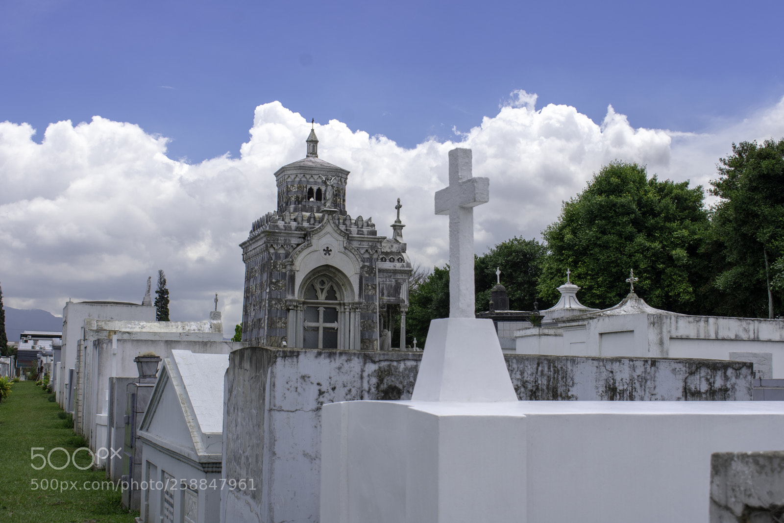 Nikon D3400 sample photo. Copy photography