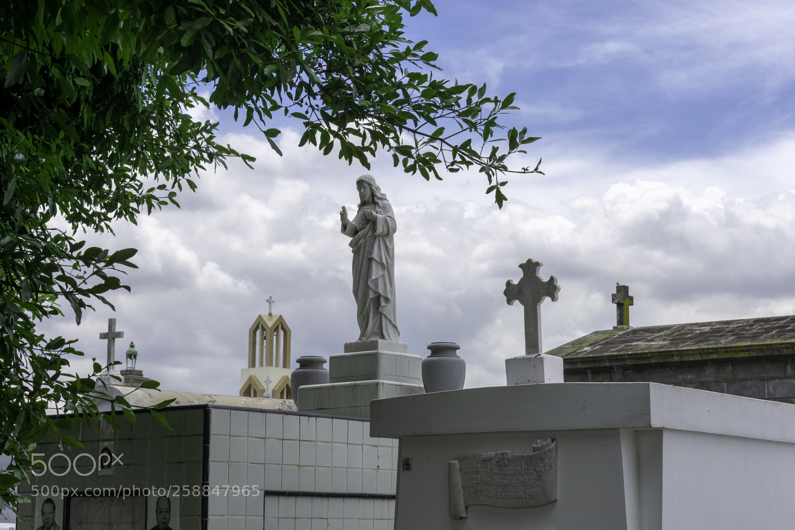 Nikon D3400 sample photo. Copy photography