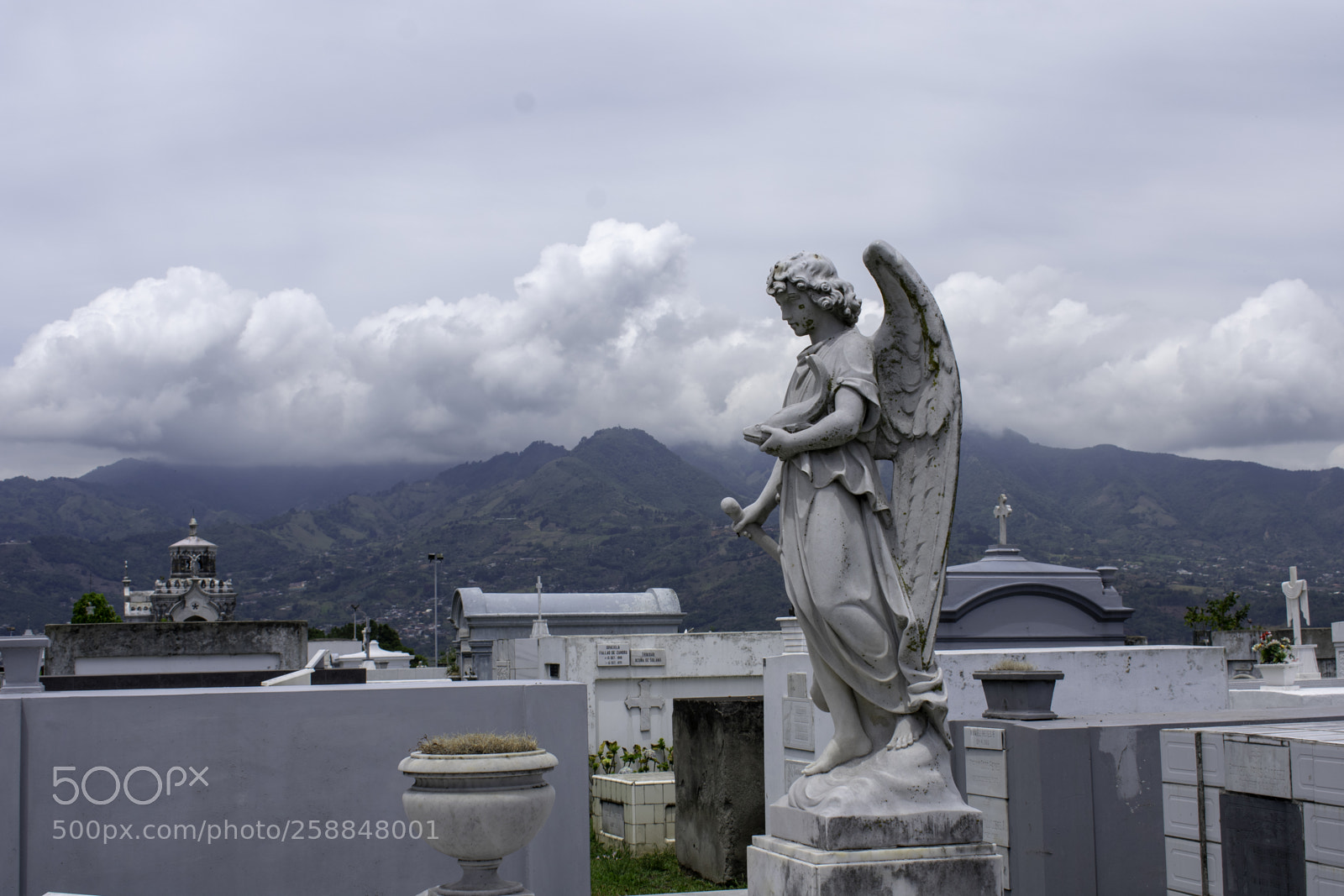 Nikon D3400 sample photo. Copy photography