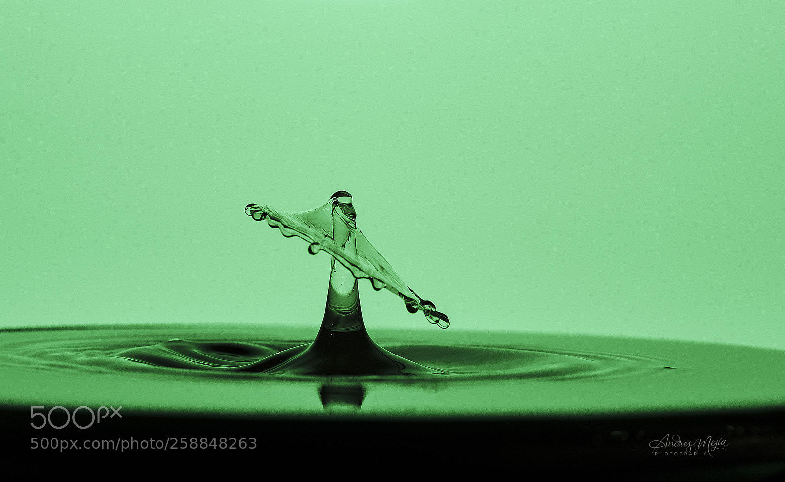Nikon D810 sample photo. Green drop photography