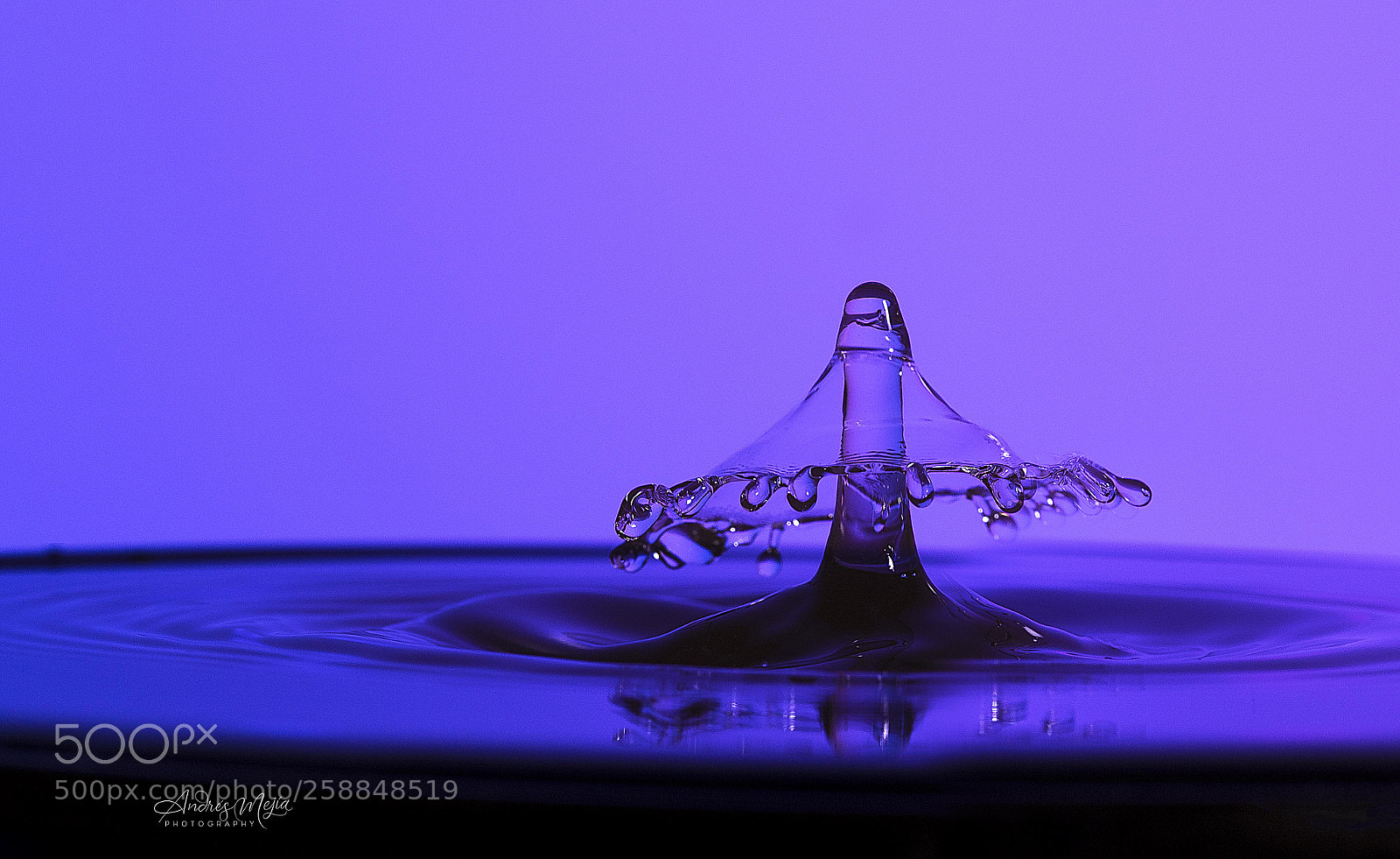 Nikon D810 sample photo. Purple drop photography