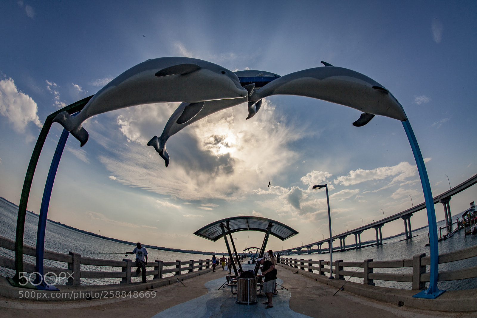 Canon EOS 5D Mark II sample photo. Mg photography