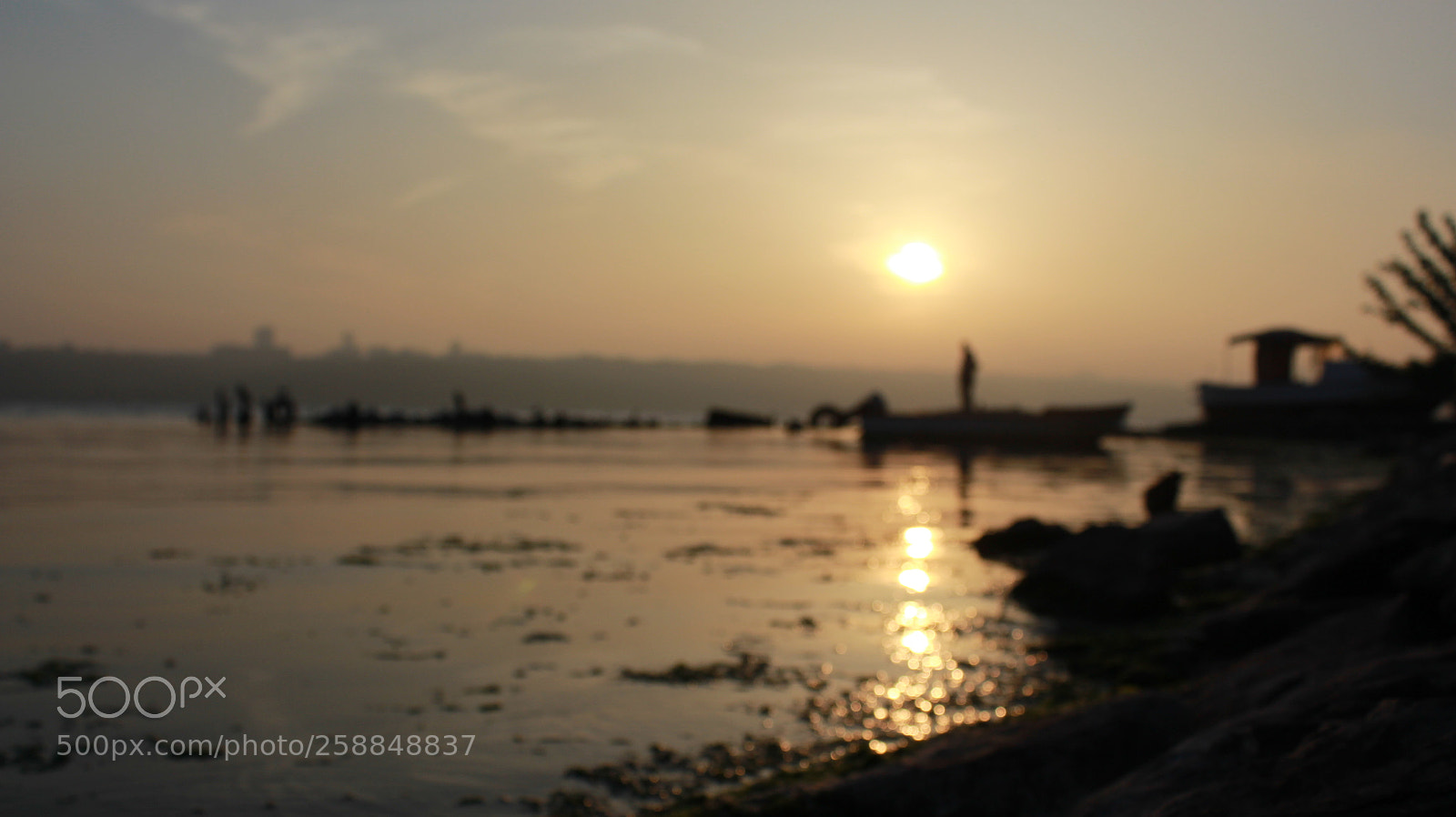Canon EF-S 18-55mm F3.5-5.6 III sample photo. Img photography