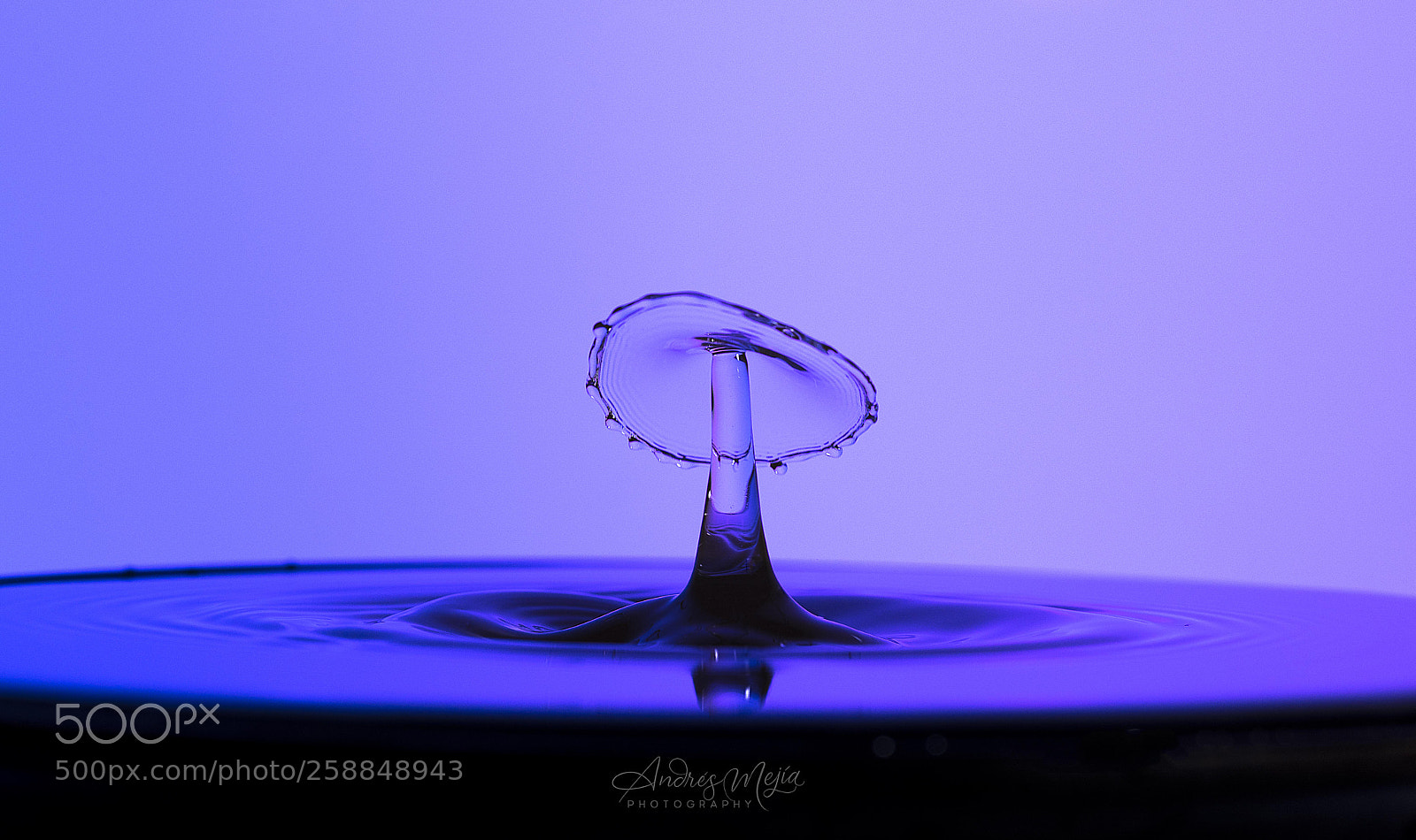 Nikon D810 sample photo. Purple hat photography