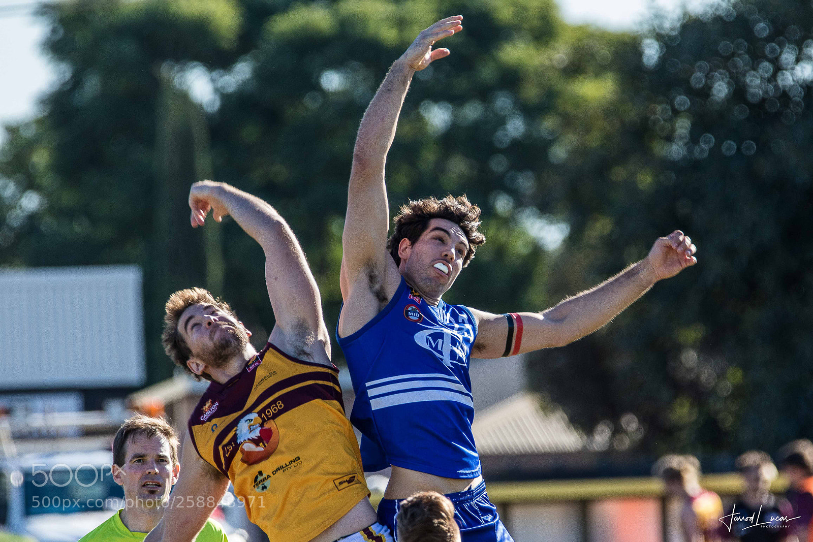 Canon EOS 7D Mark II sample photo. Australian rules photography