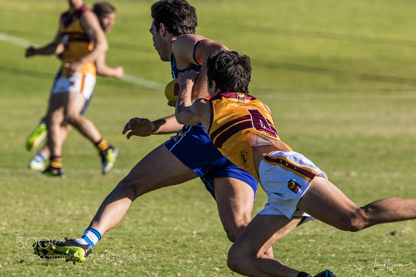 Canon EOS 7D Mark II sample photo. Australian rules photography