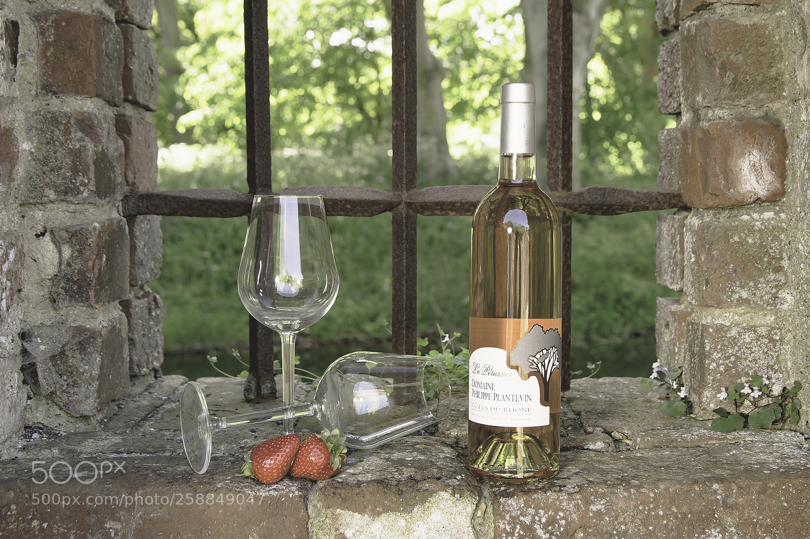 Canon EOS 6D sample photo. Wine photography