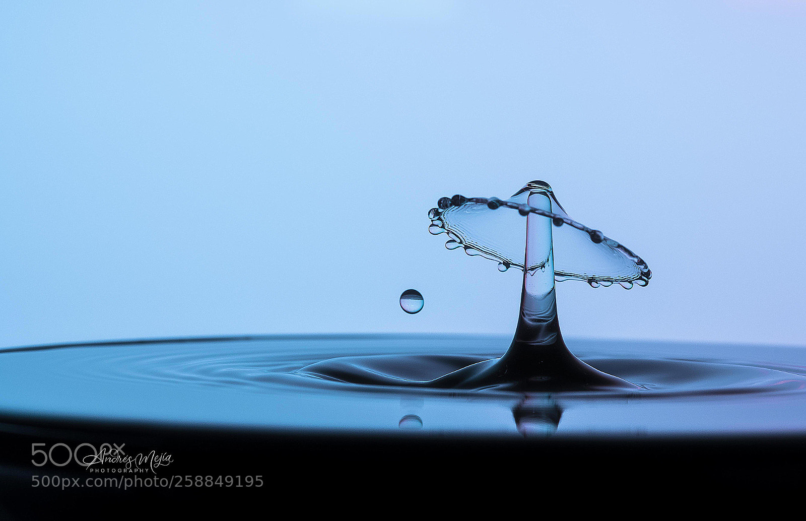 Nikon D810 sample photo. Blue drop photography