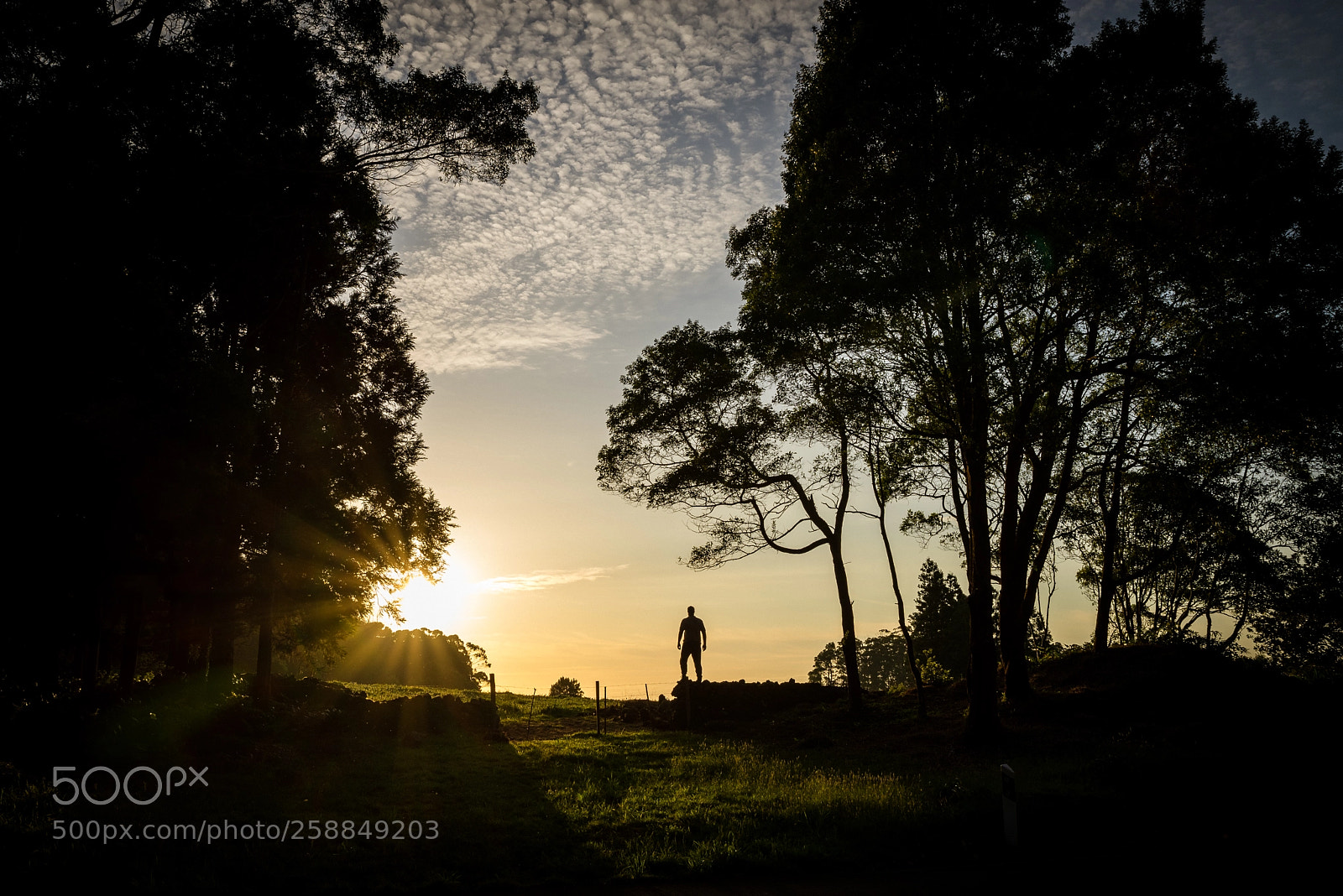 Nikon D610 sample photo. Azores photography