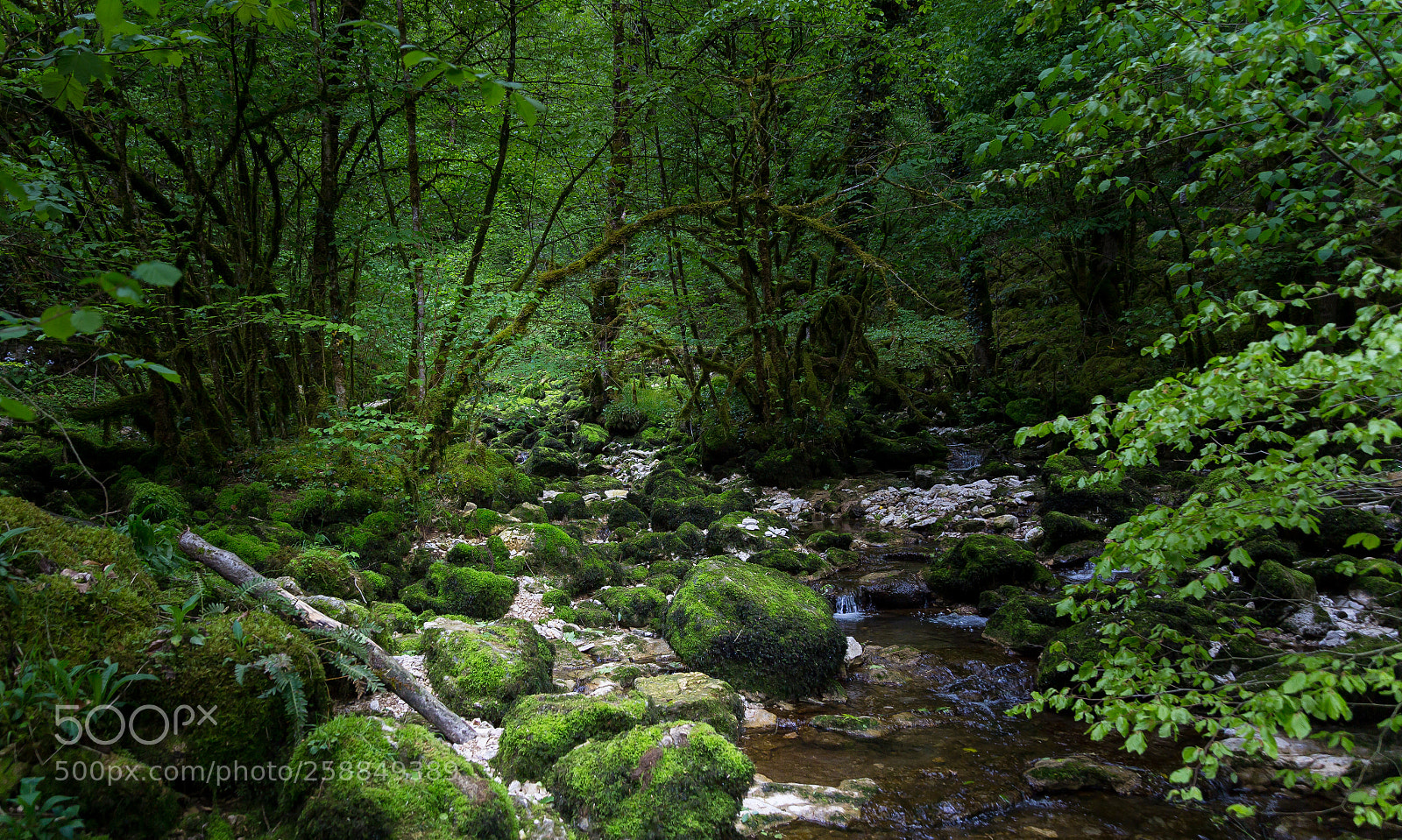 Canon EOS 6D sample photo. Walk of foam photography