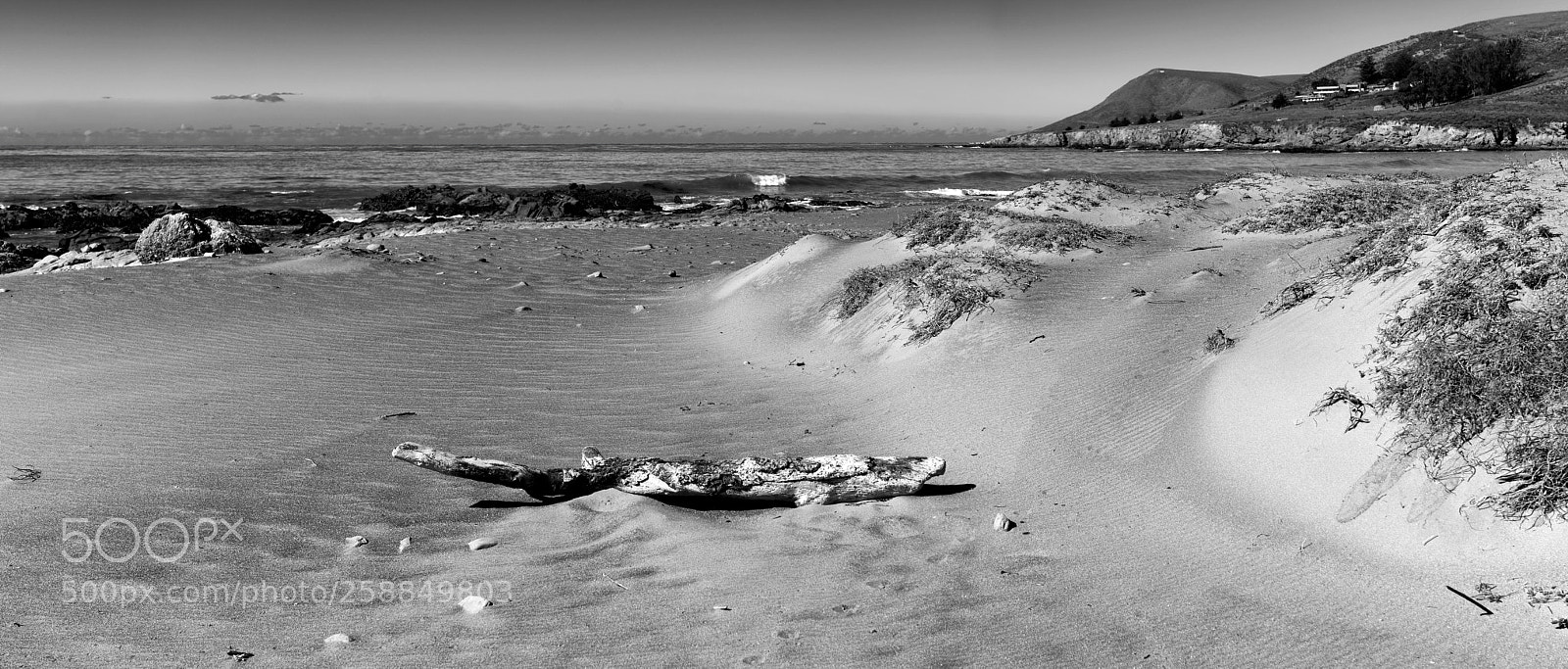 Sony a7R II sample photo. Estero bluffs panoramic photography