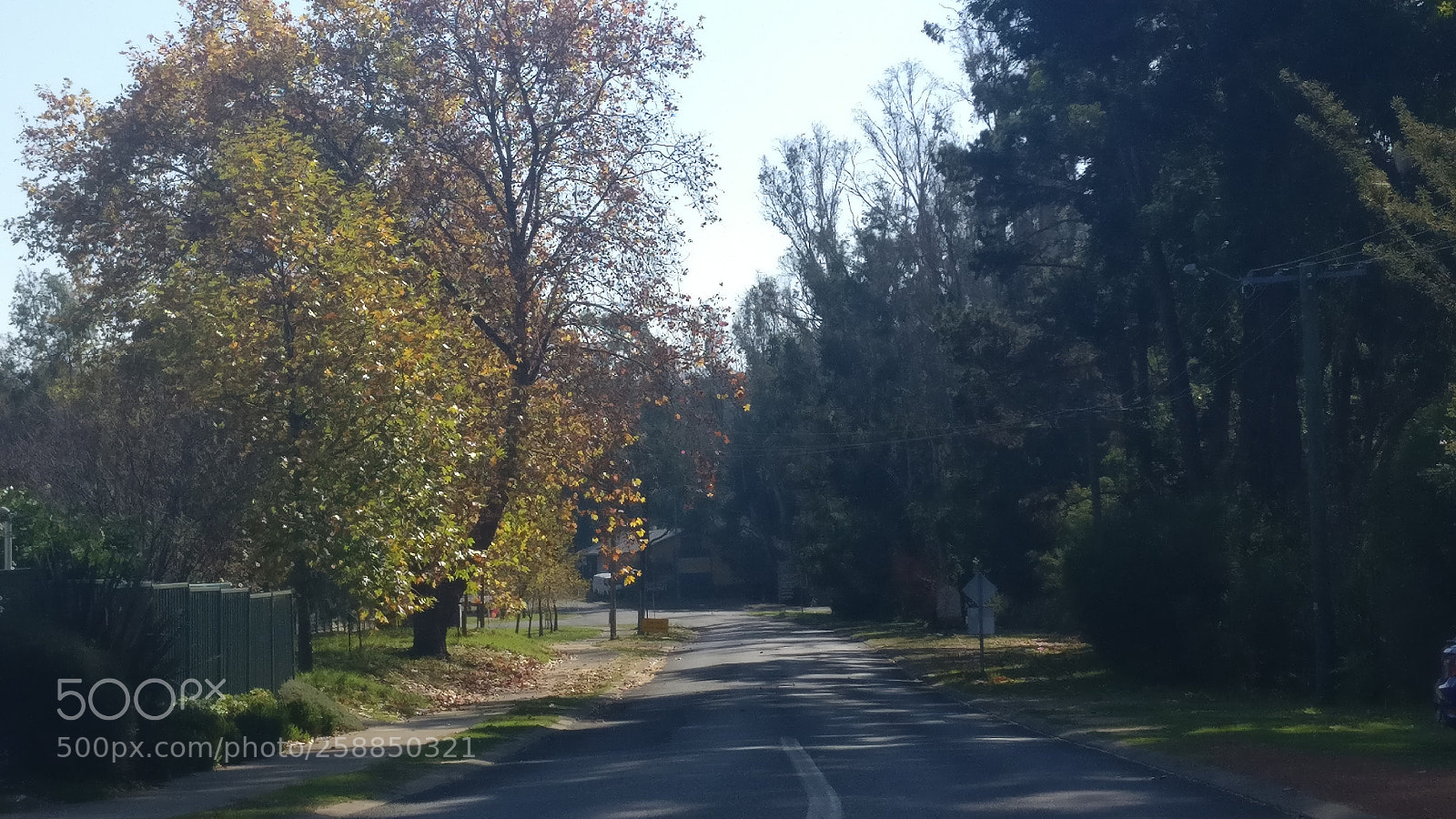 OnePlus A3003 sample photo. 1988 photography