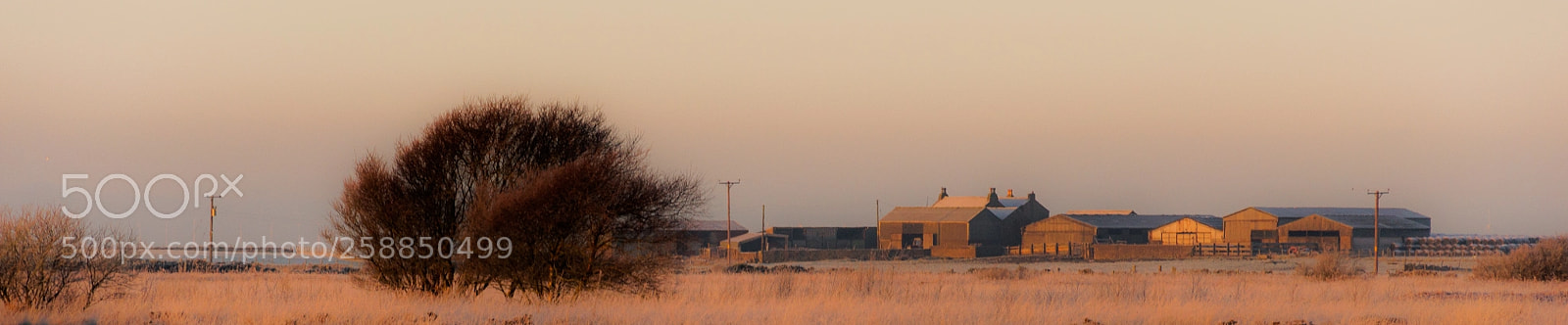 Nikon D90 sample photo. Farm, early morning photography