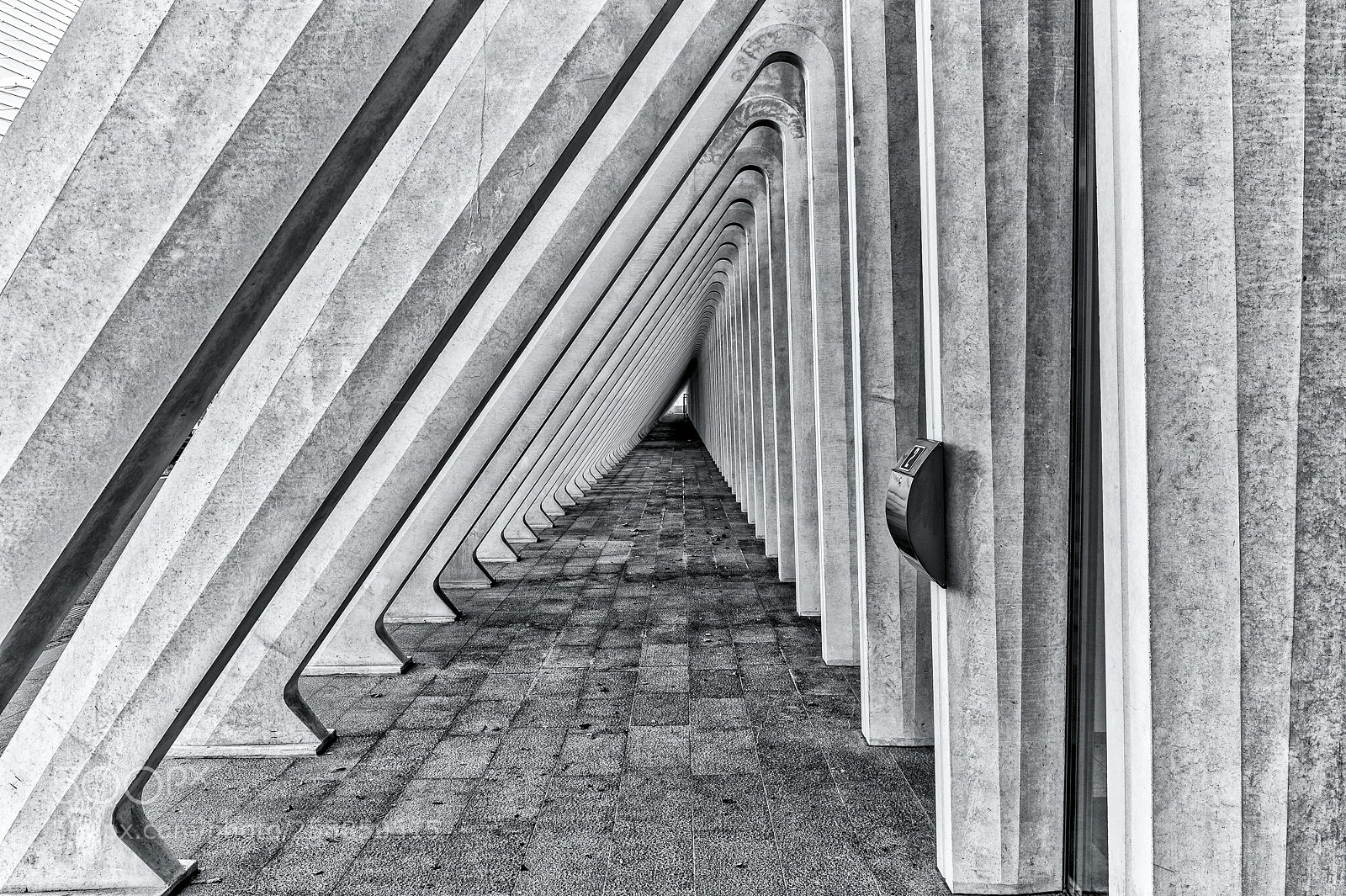 Nikon D4S sample photo. It's guillemins liège ! photography