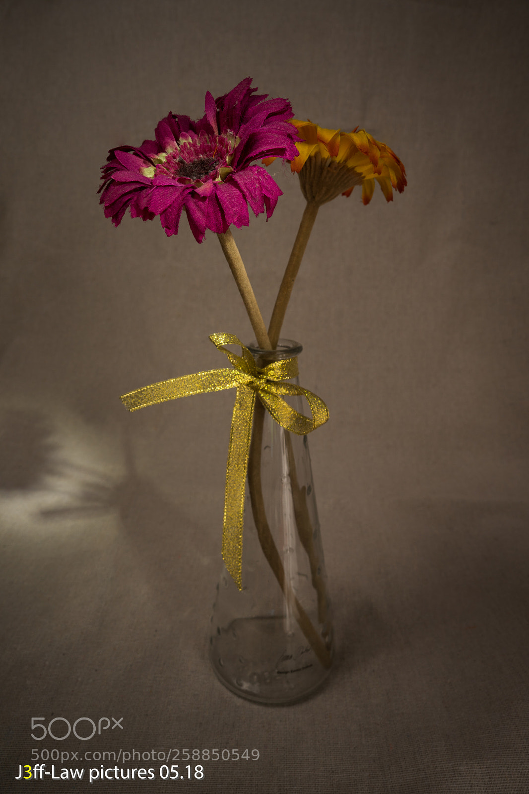 Sony a9 sample photo. A practice photography