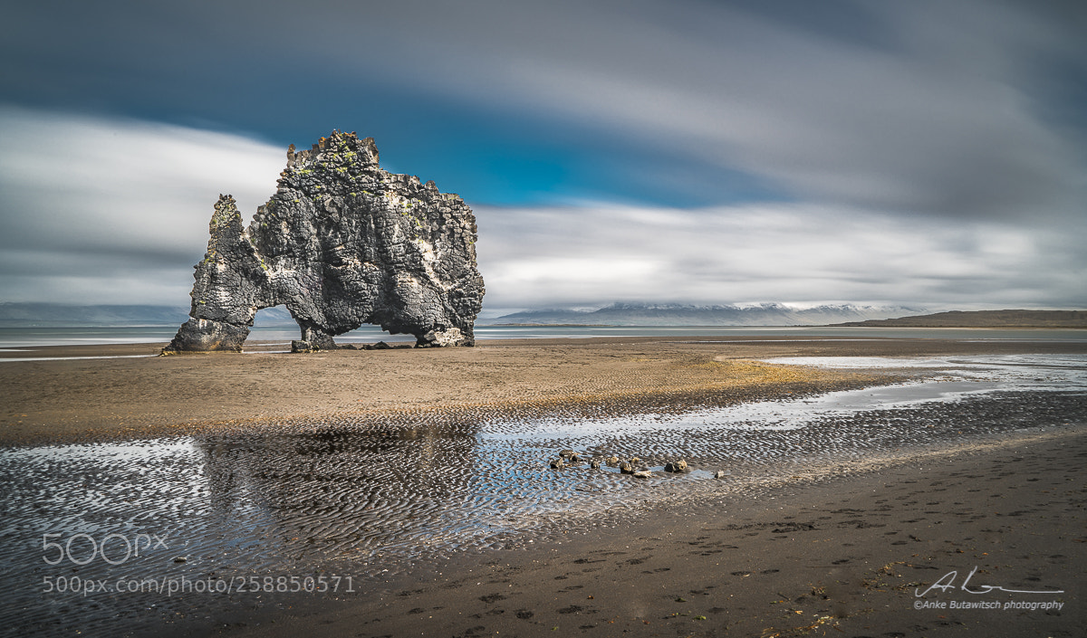 Sony a7R II sample photo. Lonesome giant photography