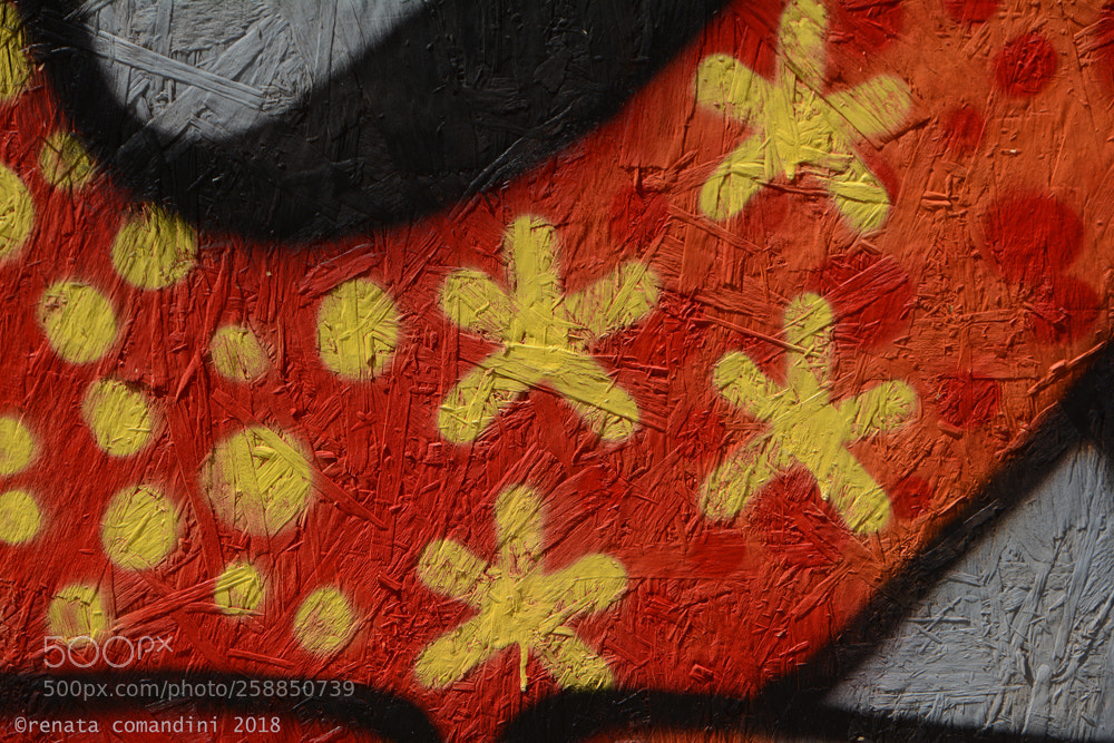 Nikon D5200 sample photo. Stelle gialle photography