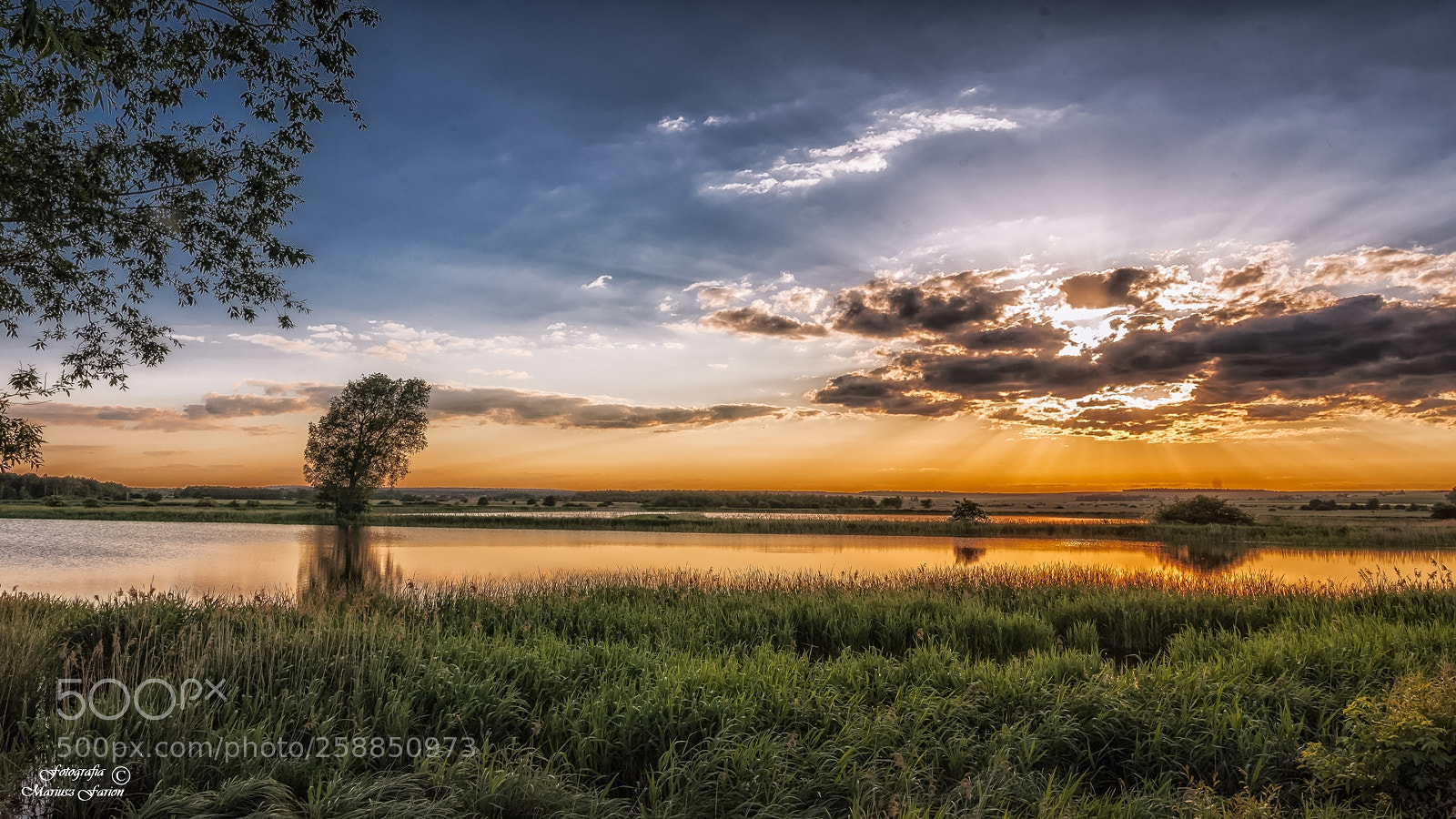 Nikon D7200 sample photo. Topornica photography
