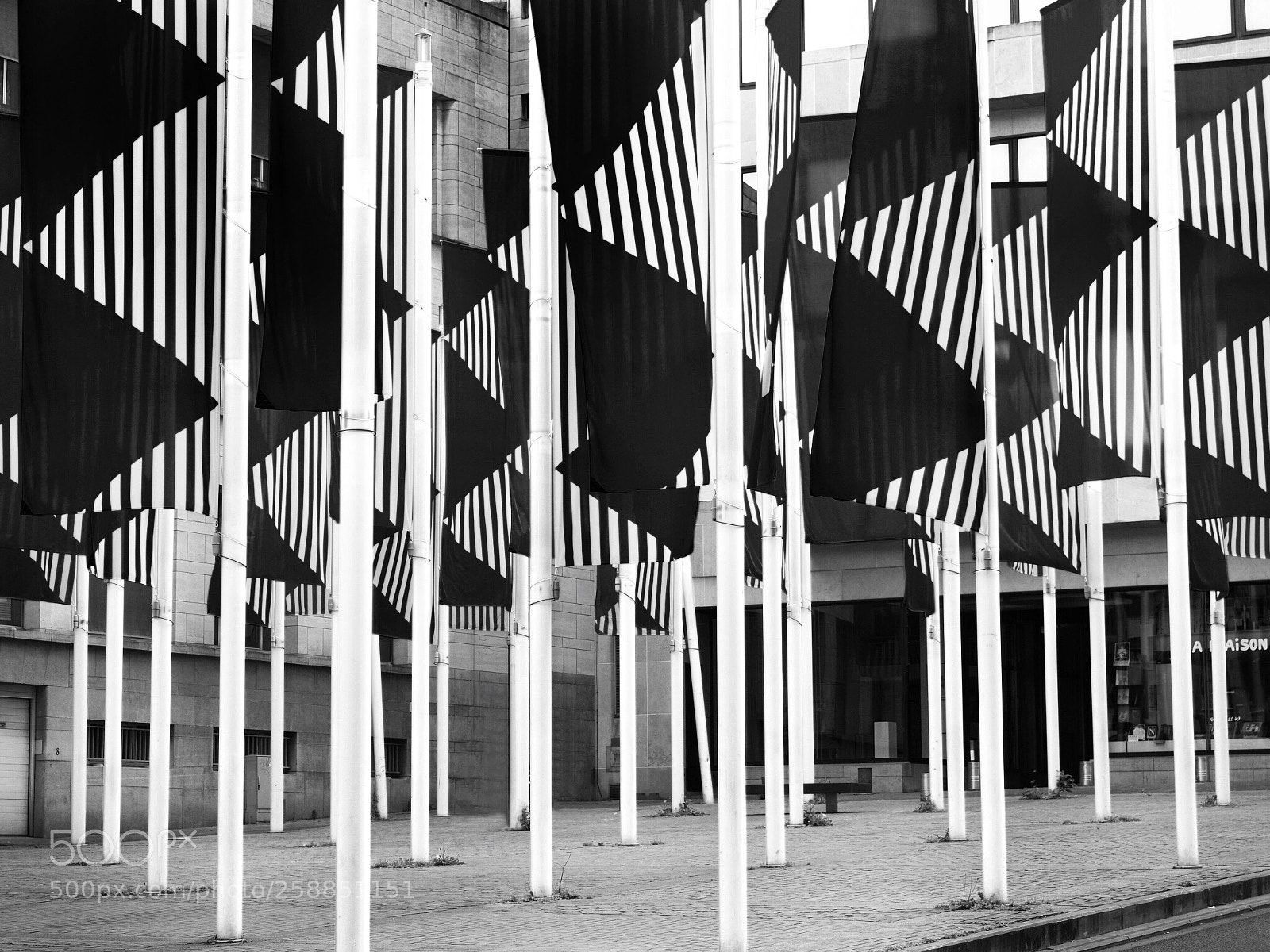 Olympus OM-D E-M10 II sample photo. Flags photography