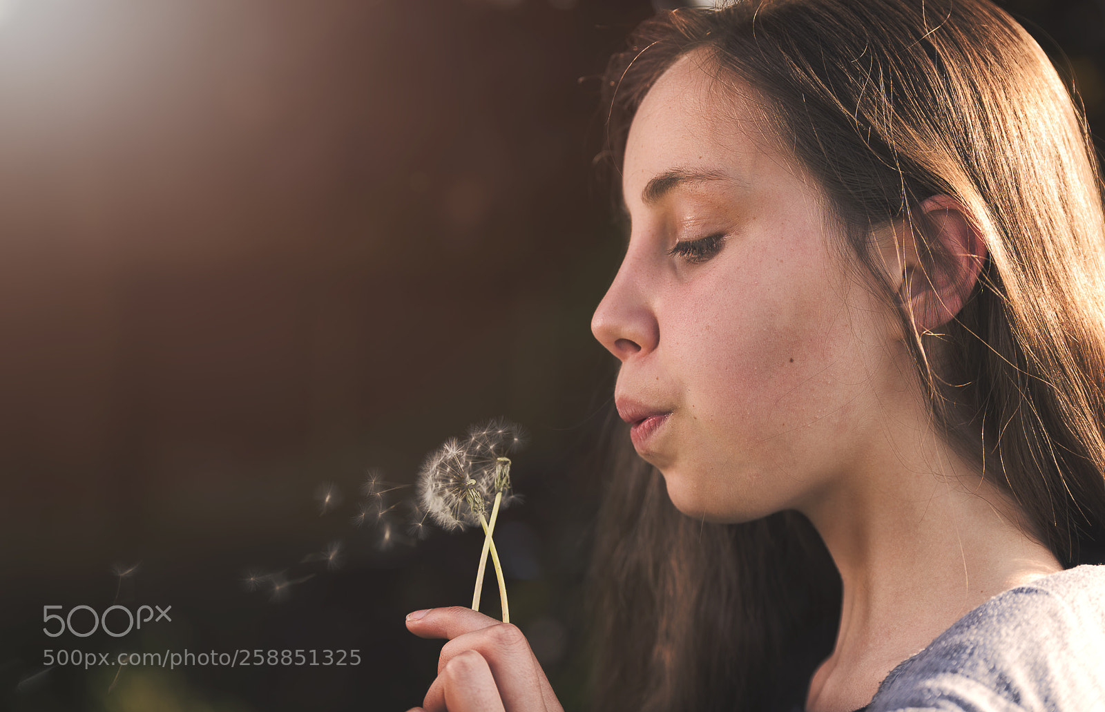 Nikon D750 sample photo. Wish photography