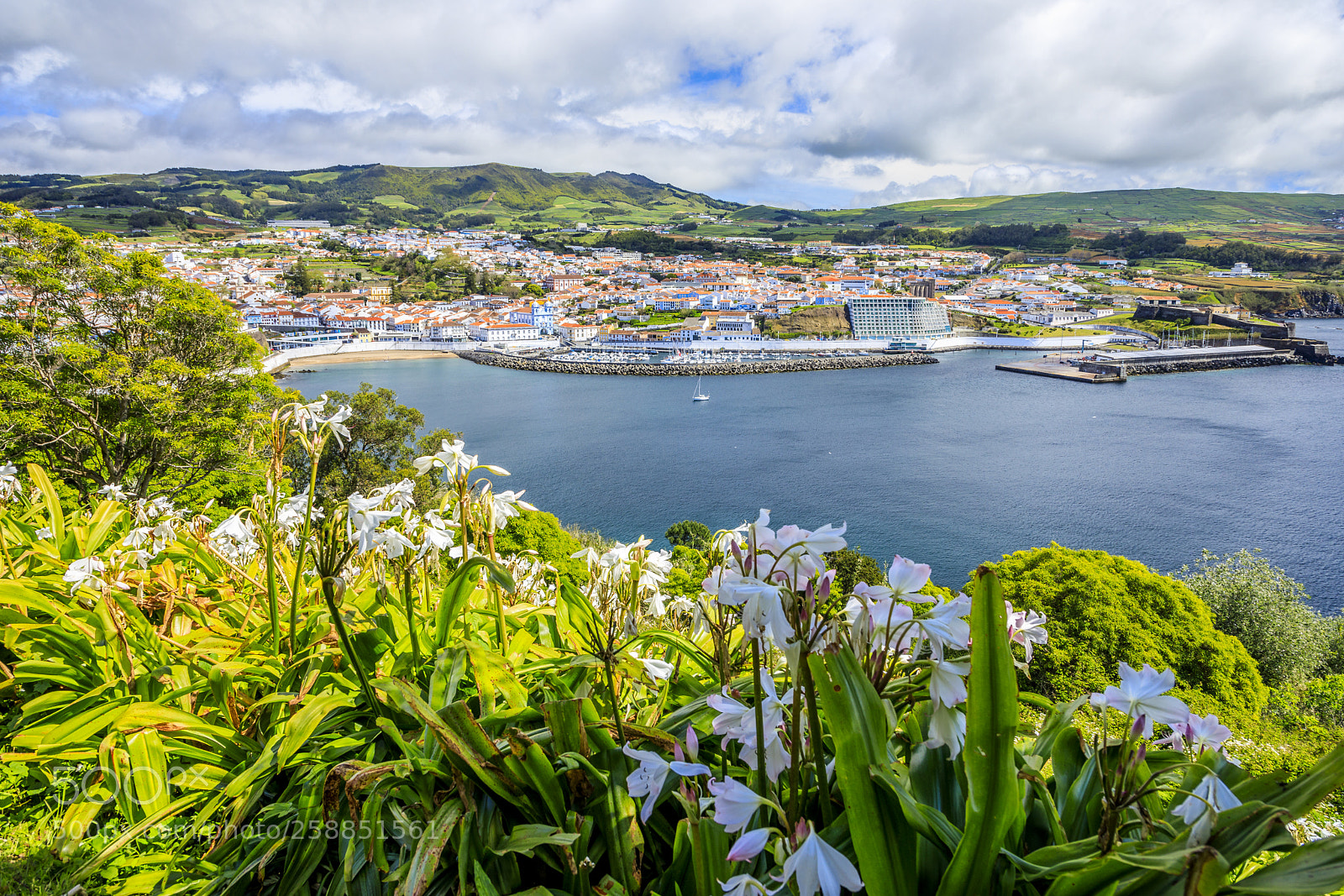 Canon EOS 5D Mark IV sample photo. A ores-terceira-angra do hero photography