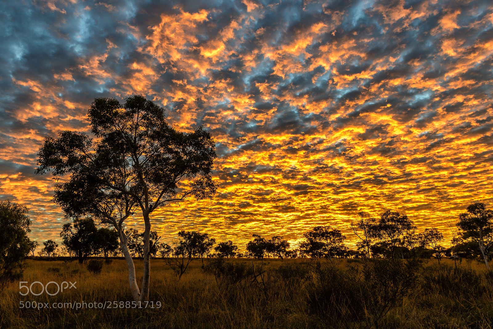 Nikon D800 sample photo. Karijini sunrise karijini np photography