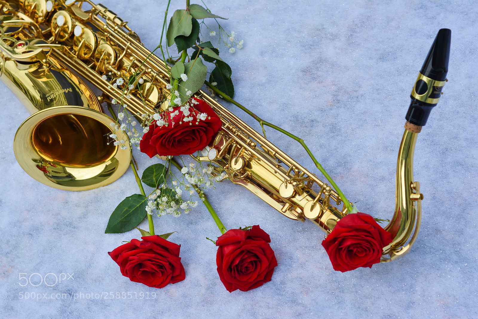 Nikon D7100 sample photo. Untitled photography