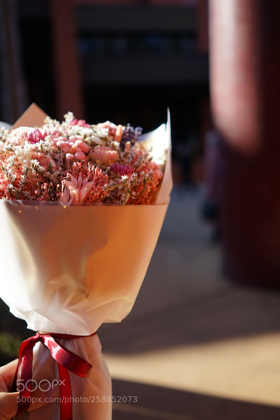 Sony a7 sample photo. Belief photography