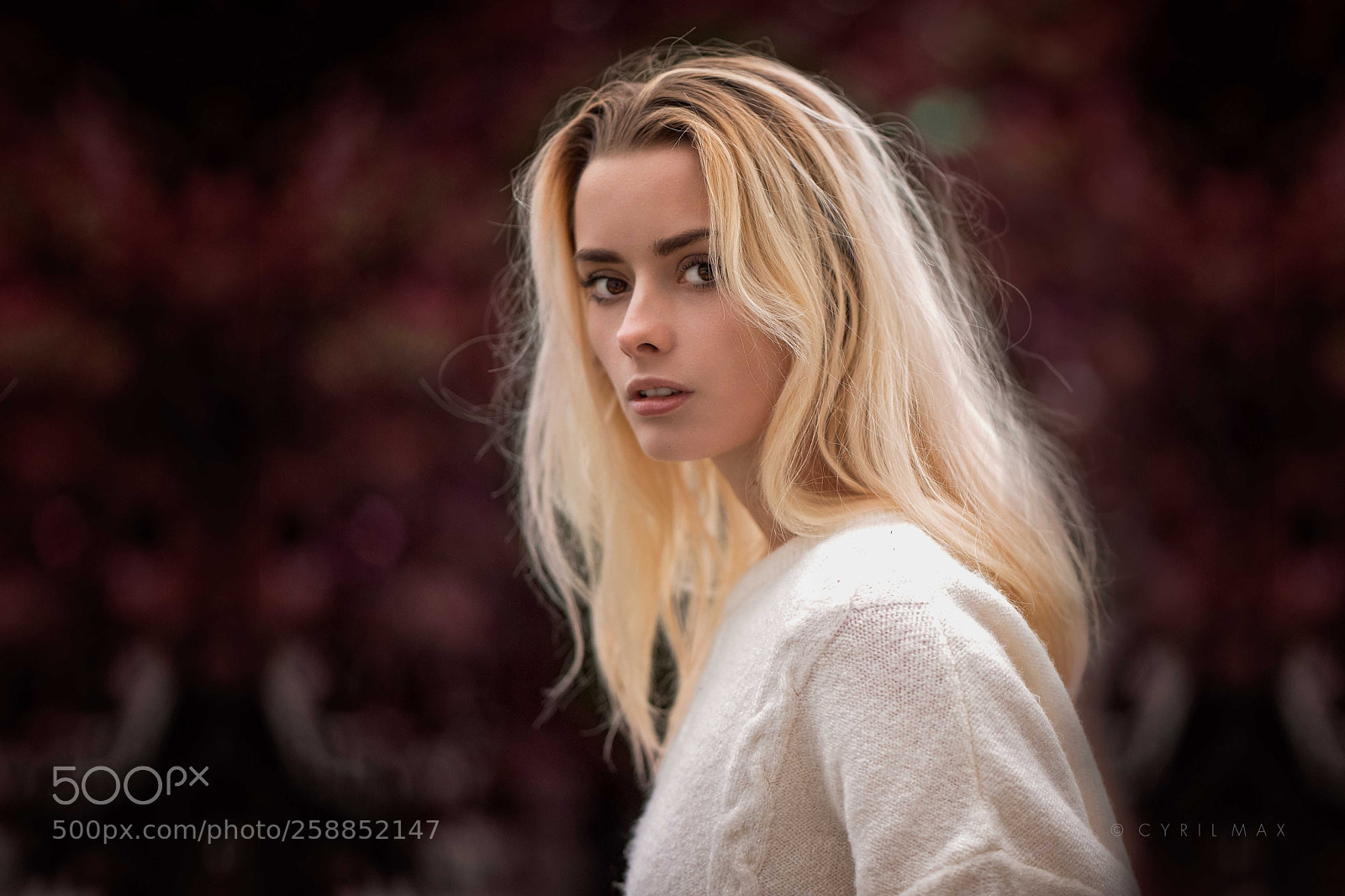 Sony a7R sample photo. Edit sjpg photography