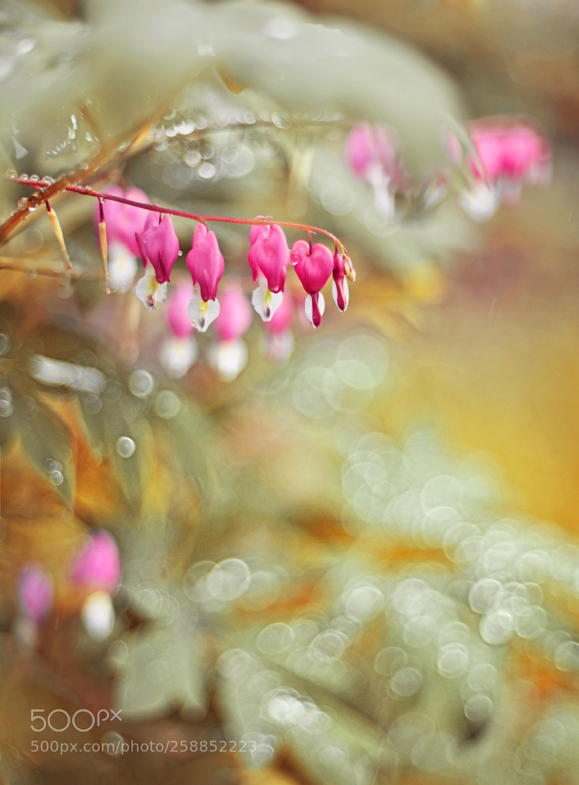 Nikon D810 sample photo. *** photography