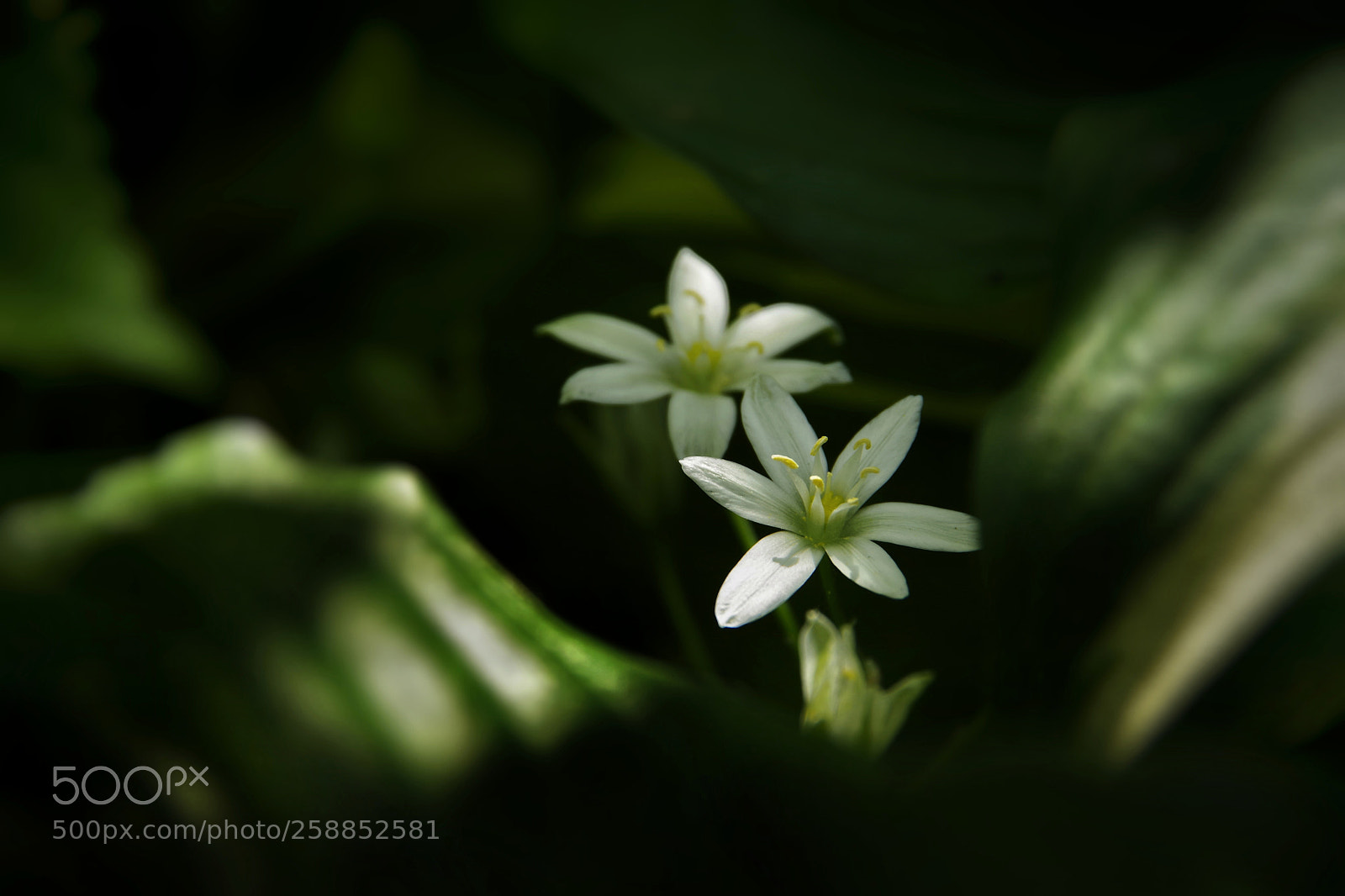Pentax K-70 sample photo. Untitled photography